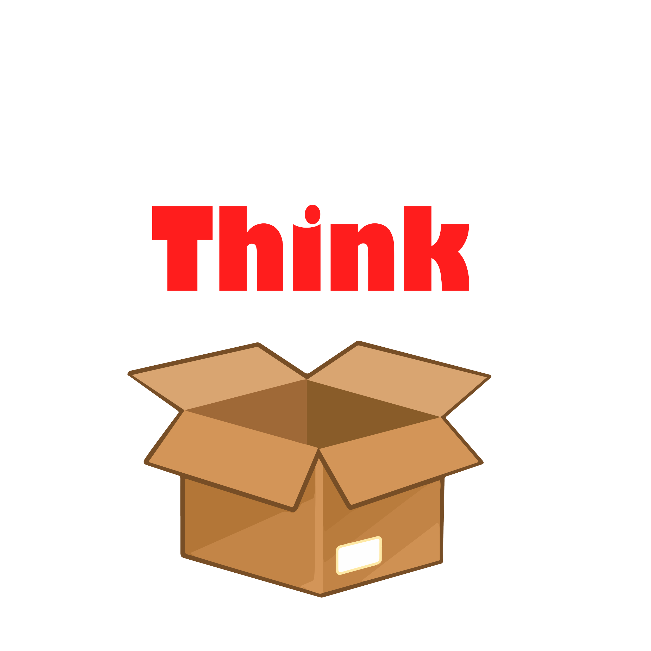 3 4 Sleeve THINK OUTSIDE THE BOX Shirt Lava Frog Media
