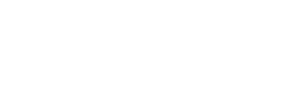 FarVision Consulting