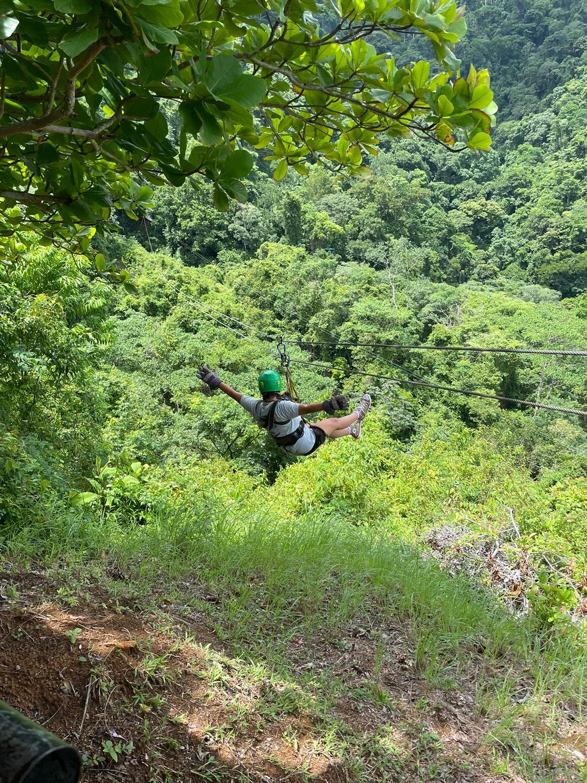 student zip lining on the Heart of the Jungle travel program in Costa Rica.jpeg