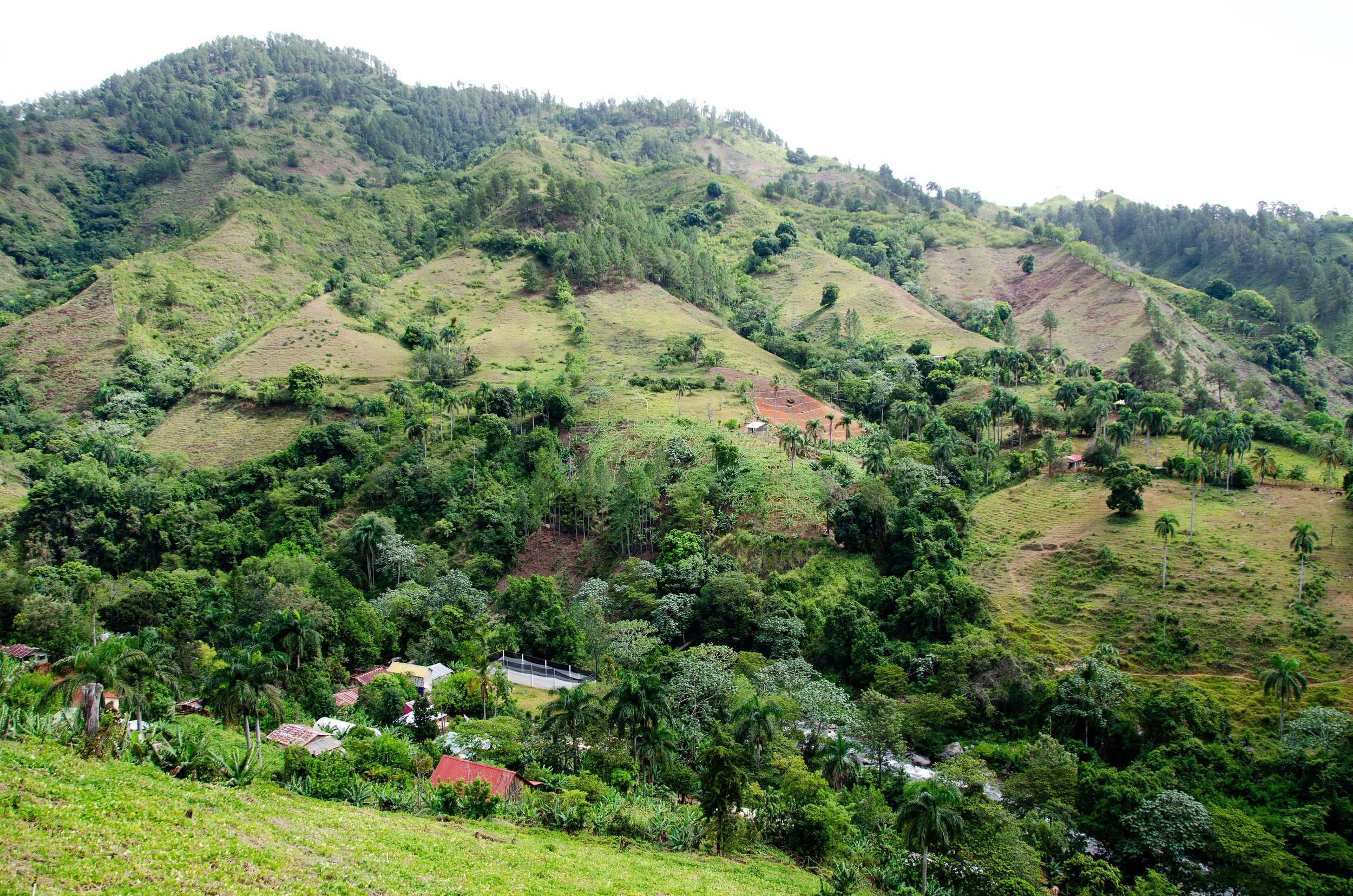 mountains in the Dominican Republic.jpg