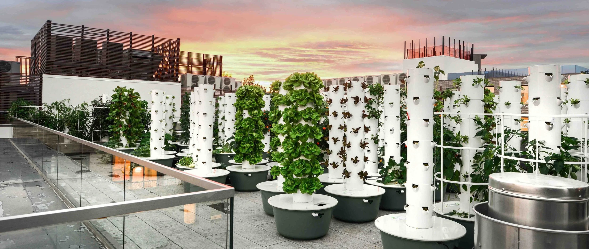 Green Food Solutions