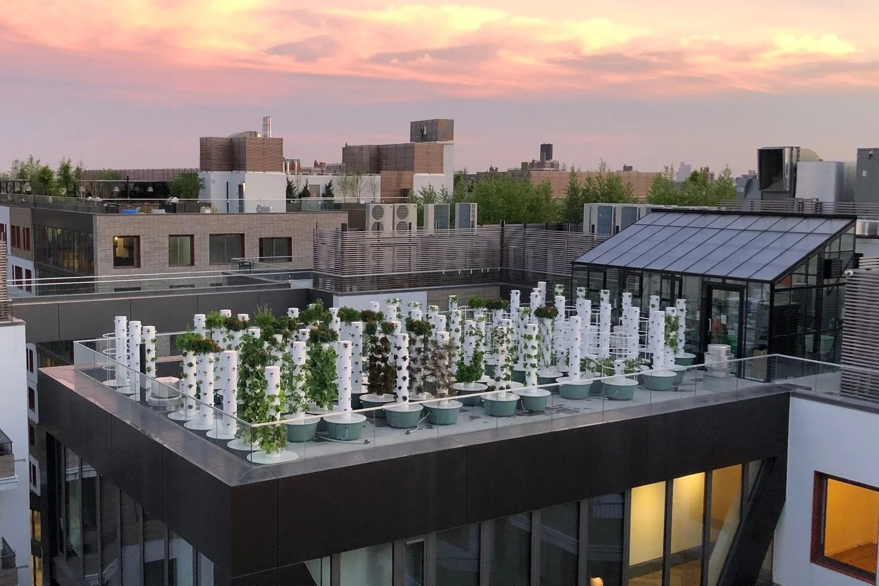 Green Food Solutions