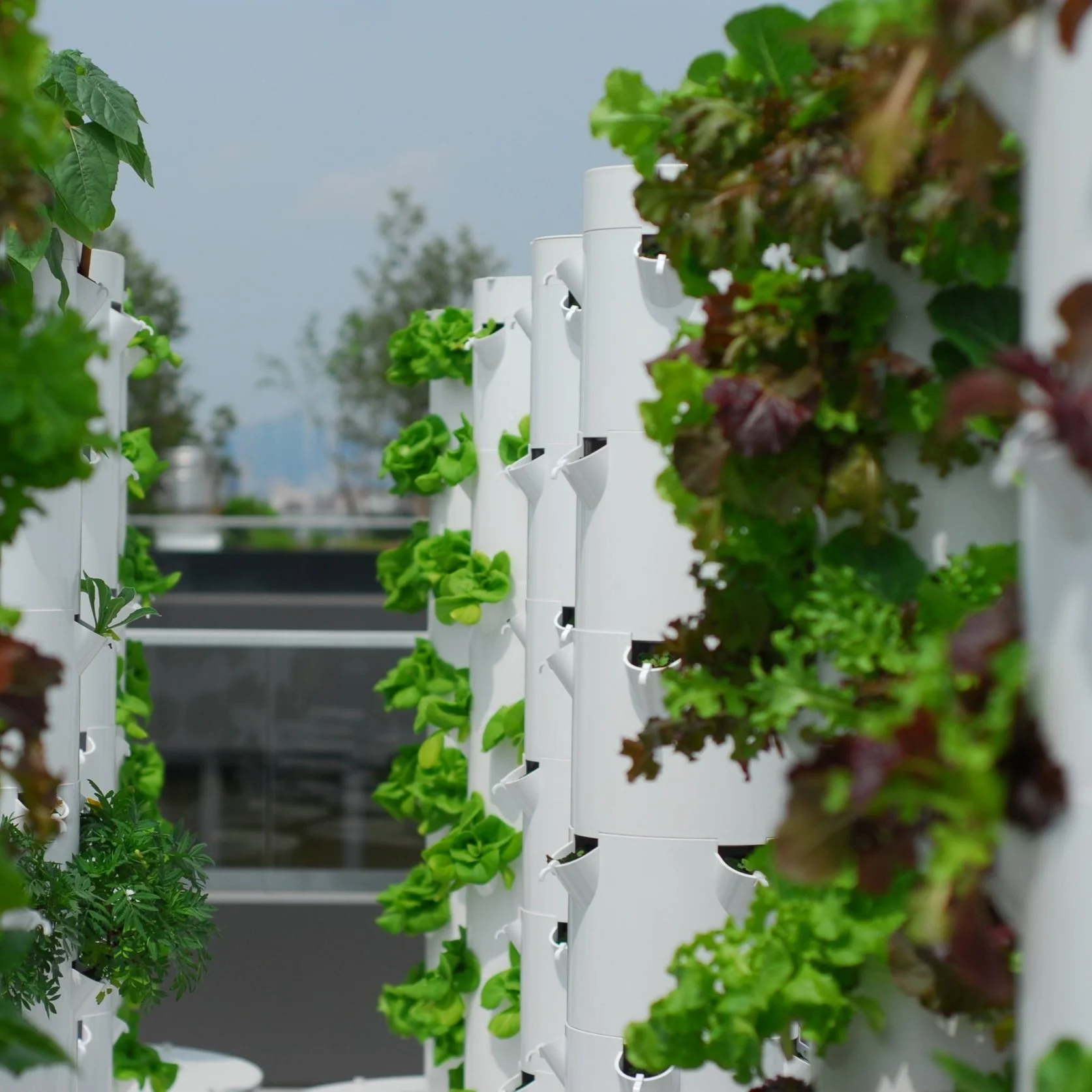 Green Food Solutions