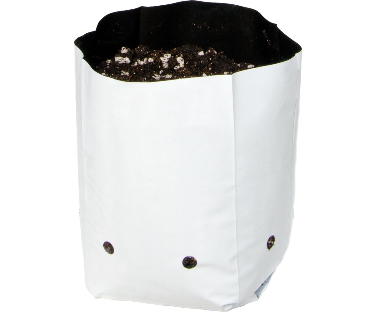 HGBW0.5GAL_1.jpg