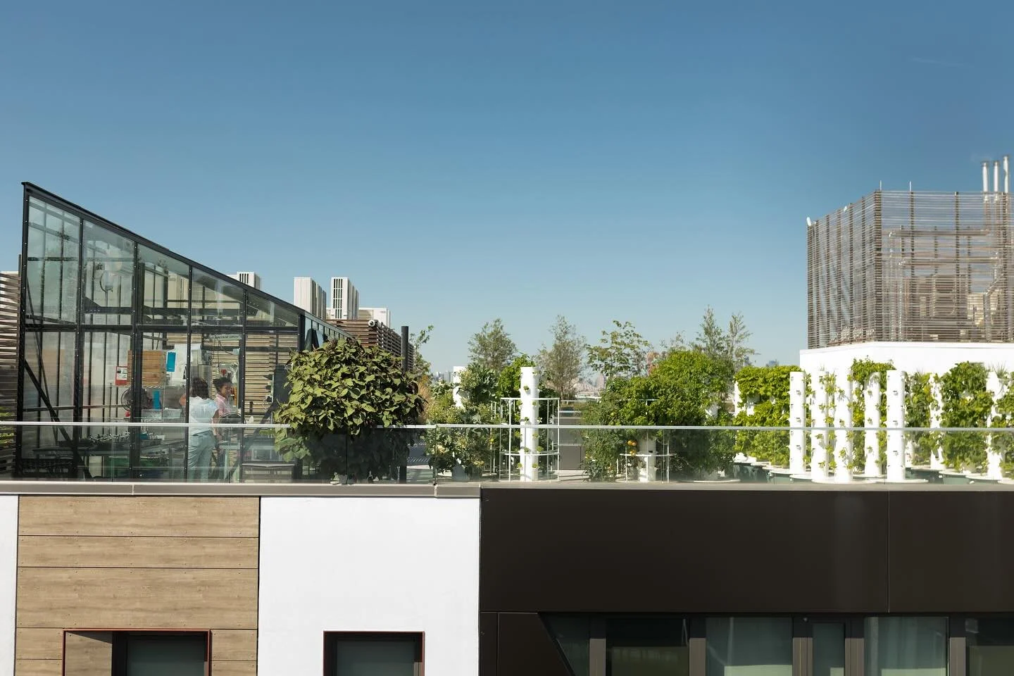 🌱Green Food Solutions: It All Starts With Our Culture🌱

Our culture is the engine behind every successful farm we install. It&rsquo;s built on a foundation of accountability and a friendly approach, driven to be transformative in our industry throu