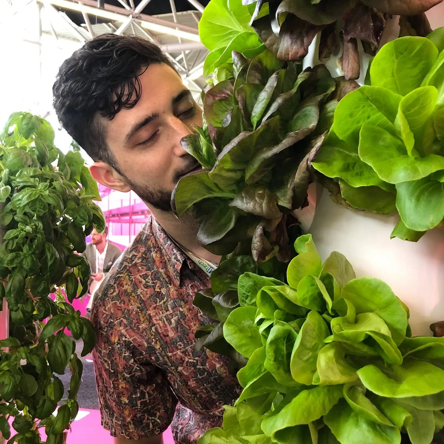 Raise your hand if you love the smell of fresh produce as much as we do?! 🥬🙌🏼

#freshgreens #kale #lettuce #produce #sustainablymade #sustainablity #hydroponic #verticalfarming