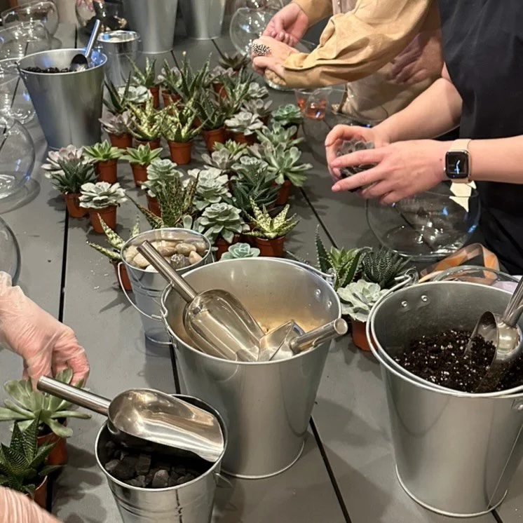 Get your hands dirty, get creative, and grow something beautiful! 🌵✨

Our terrarium workshops are a crowd favorite &mdash; the perfect blend of learning, teamwork, and a whole lot of fun.
Plus, everyone leaves with a living piece of art they built t