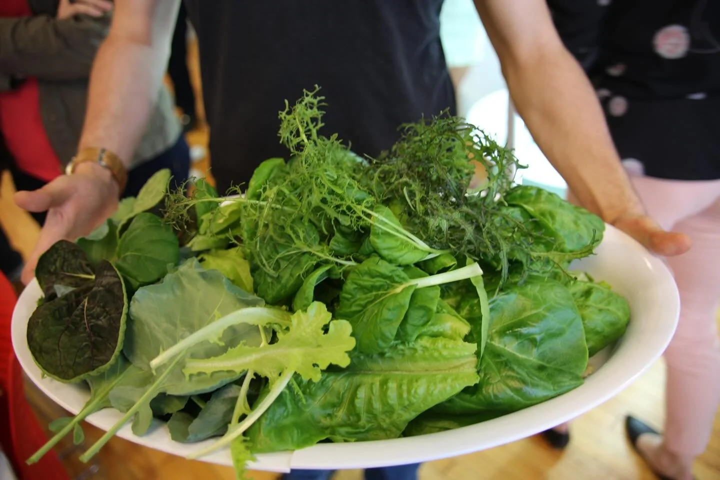 May your day be full of joy, good company, and greens grown the Green Food Solutions way! 💚✨

#GreenFoodSolutions #GrowWithGFS #FarmAmenity #UrbanFarming #VerticalFarming #Hydroponics #IndoorFarming