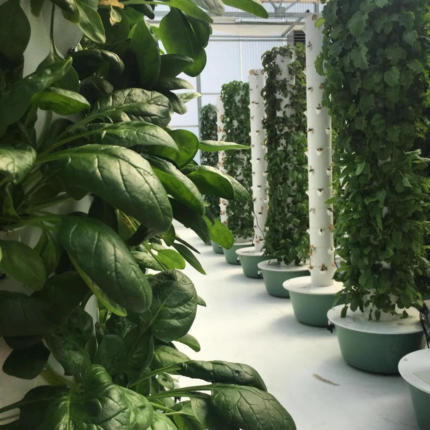 Sustainable design starts with systems that give back.

By growing vertically, we reduce resource use, shorten the supply chain, and create a healthier, more resilient community&mdash;one tower at a time.

Give your residents, employees, or students 