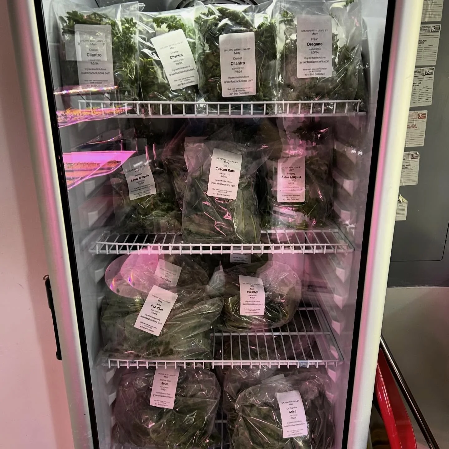 From tower to fridge &mdash; and straight to your plate.🌱

Which one are you grabbing?

✔ Cilantro
✔ Oregano
✔ Tucson Kale
✔ Pak Choi
✔ Mizuna
✔ Dino Kale

All grown through our sustainable hydroponic towers.

#GreenFoodSolutions #FarmAmenity #Urban