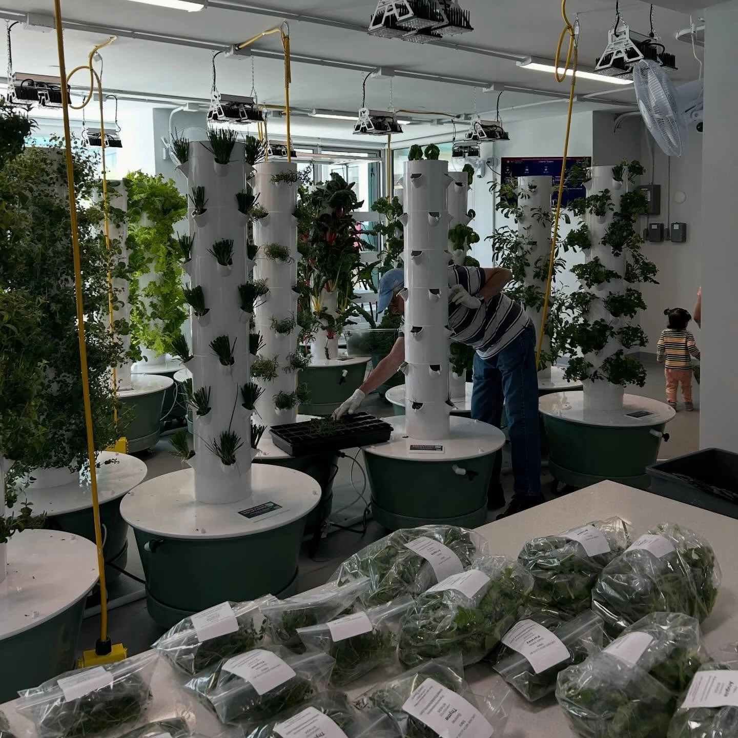 As we wrap up the year, we&rsquo;re grateful for every seed planted, every tower built, and every community fed. 🌿💚
Happy New Year&rsquo;s Eve &mdash; here&rsquo;s to an even more sustainable 2026.

#GreenFoodSolutions #VerticalFarming #UrbanFarmin