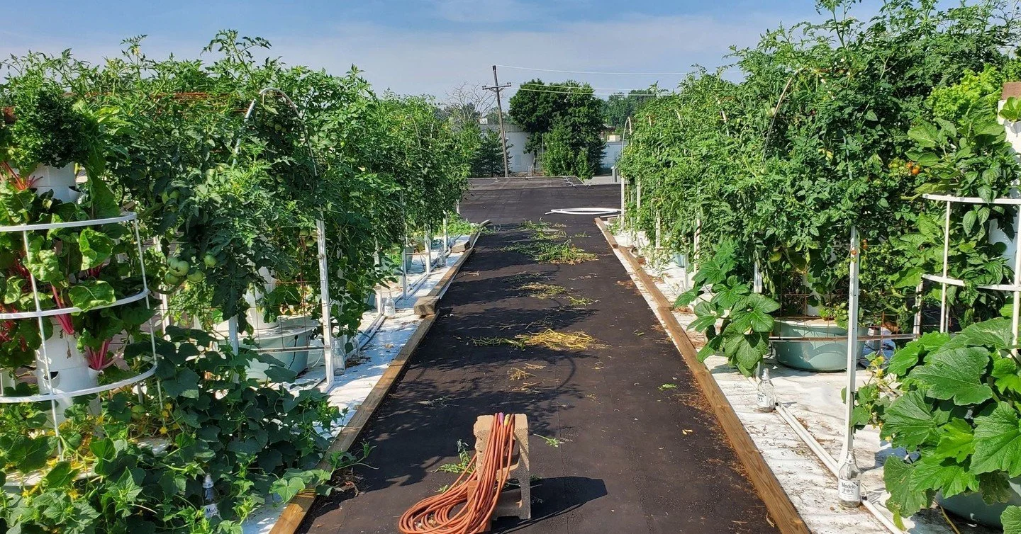 Our local food system can look different.

Imagine sustainable, hydroponic farms growing inside buildings and throughout our cities&mdash;creating access to more fresh food, including culturally relevant foods that aren&rsquo;t widely grown commercia