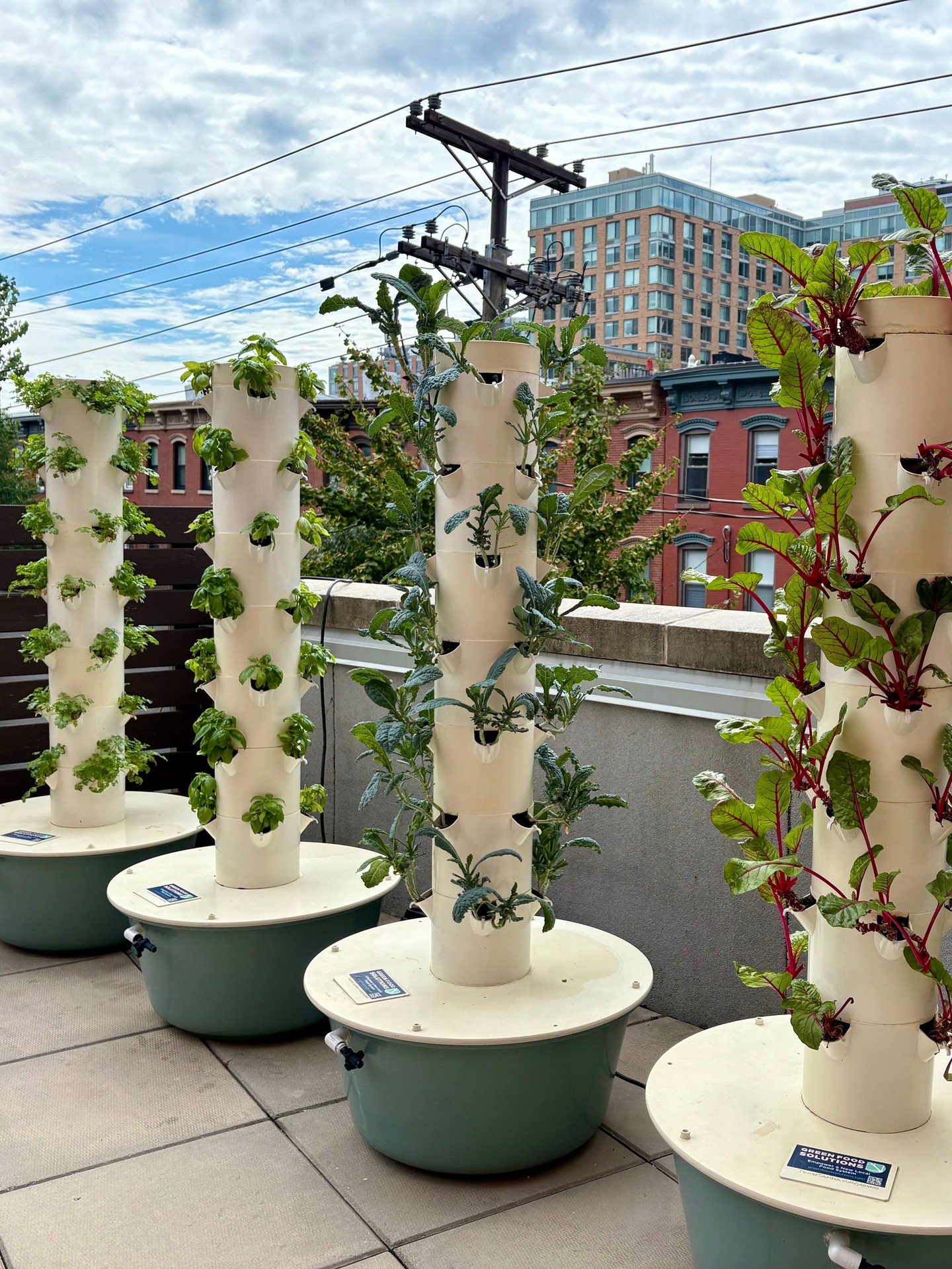 Unused space can grow something amazing.

Our hydroponic systems can transform almost any underutilized space in an office, school, or apartment building into a productive growing environment &mdash; indoors or outdoors.

From rooftops and courtyards