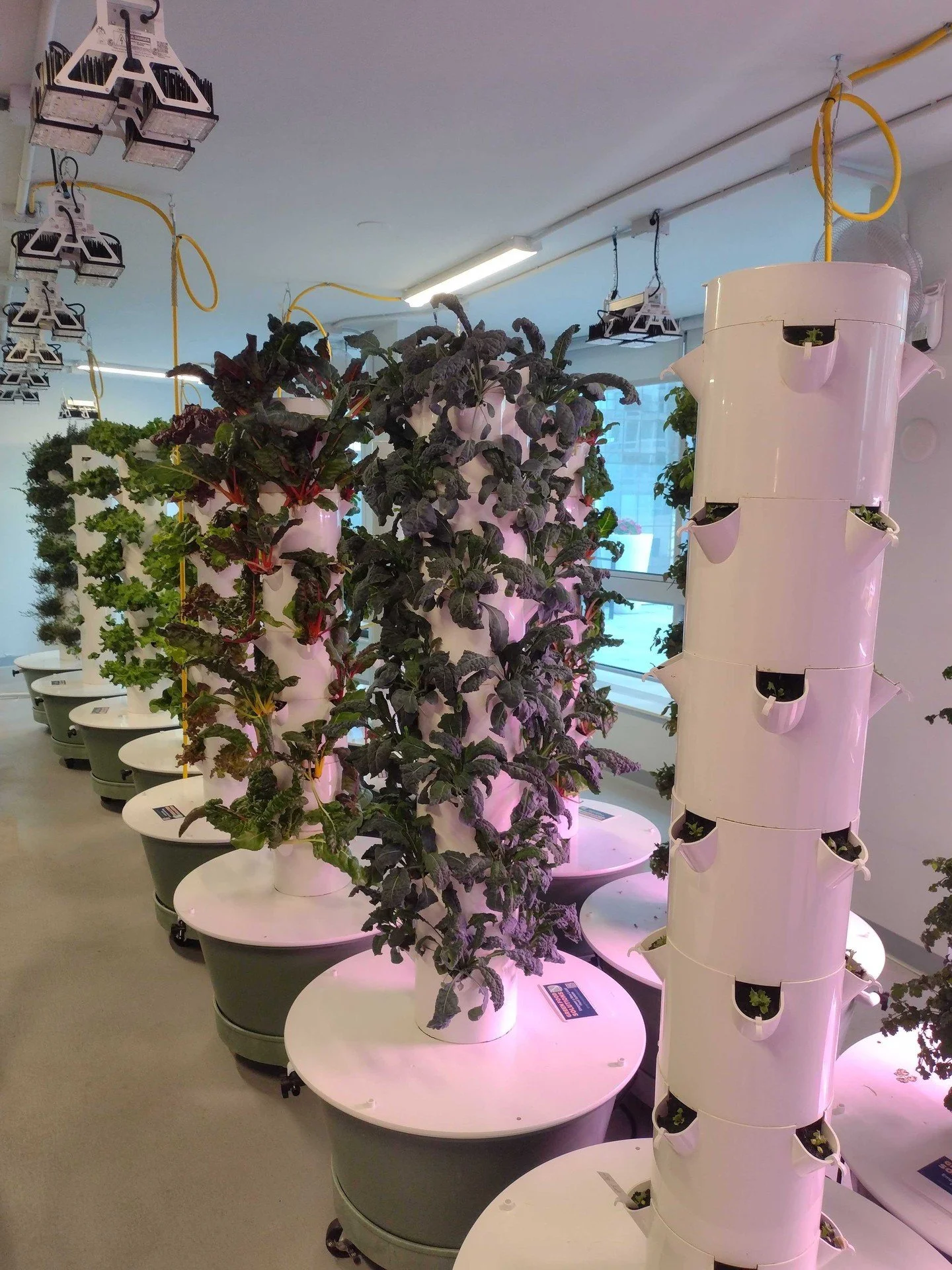 More growing. More harvests. More from every hydroponic system. 

One of the more popular hydroponic systems we use is designed to maximize production in a compact footprint&mdash;making it possible to grow an impressive amount of fresh food year-rou