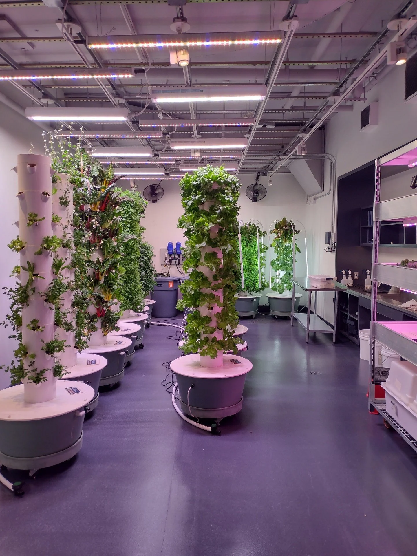 What if your building could grow its own food&mdash;and support its sustainability goals at the same time?

Green Food Solutions&rsquo; hydroponic and vertical farming systems can complement projects pursuing LEED certification while bringing a uniqu