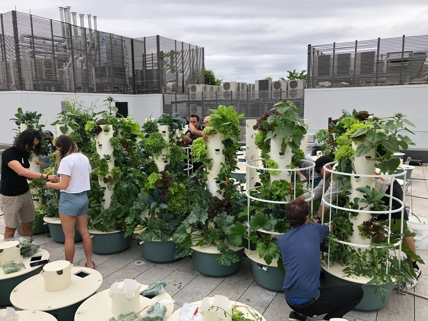 🌱 Happy National Farmers Day! 🌱

Today, we&rsquo;re celebrating farmers of all kinds&mdash;from family farms and community gardens to urban farms, hydroponic growers, and large-scale agriculture.

Different places. Different methods. One important 
