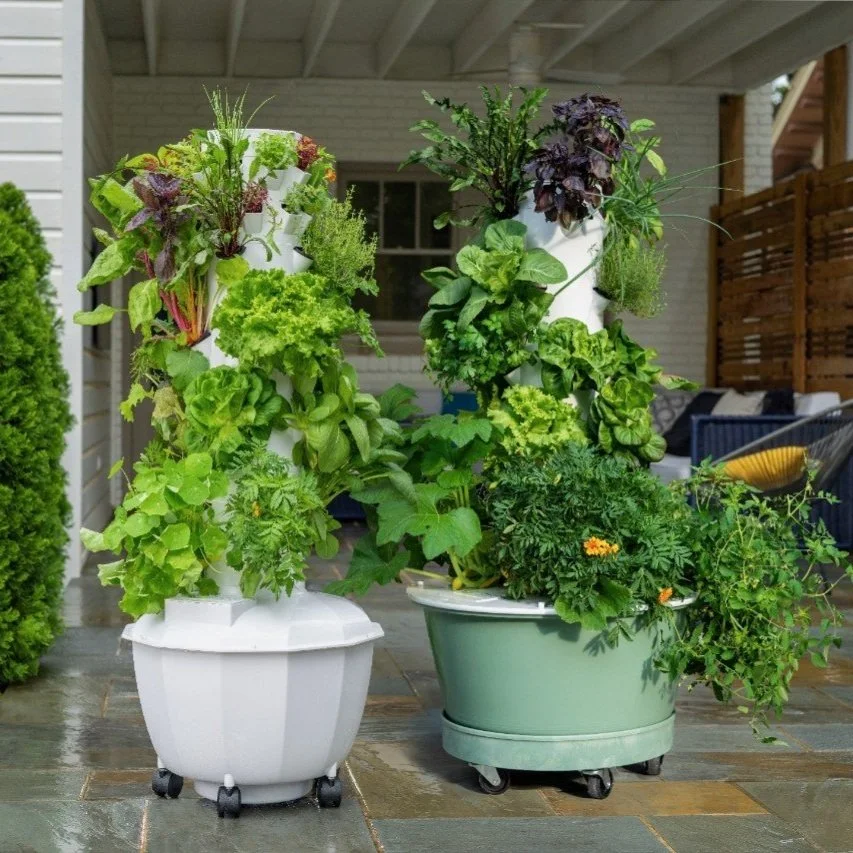 Green Food Solutions