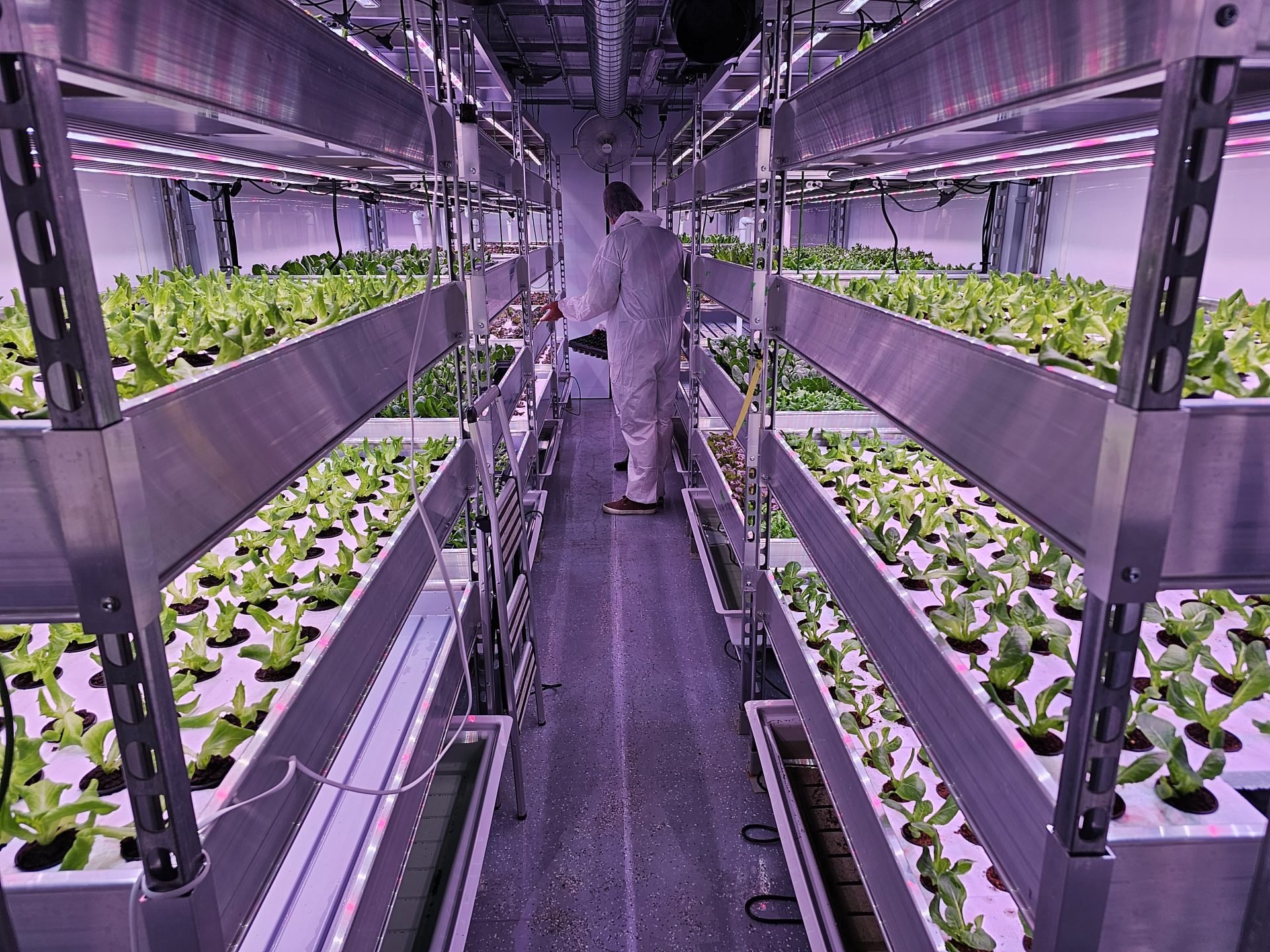Green Food Solutions