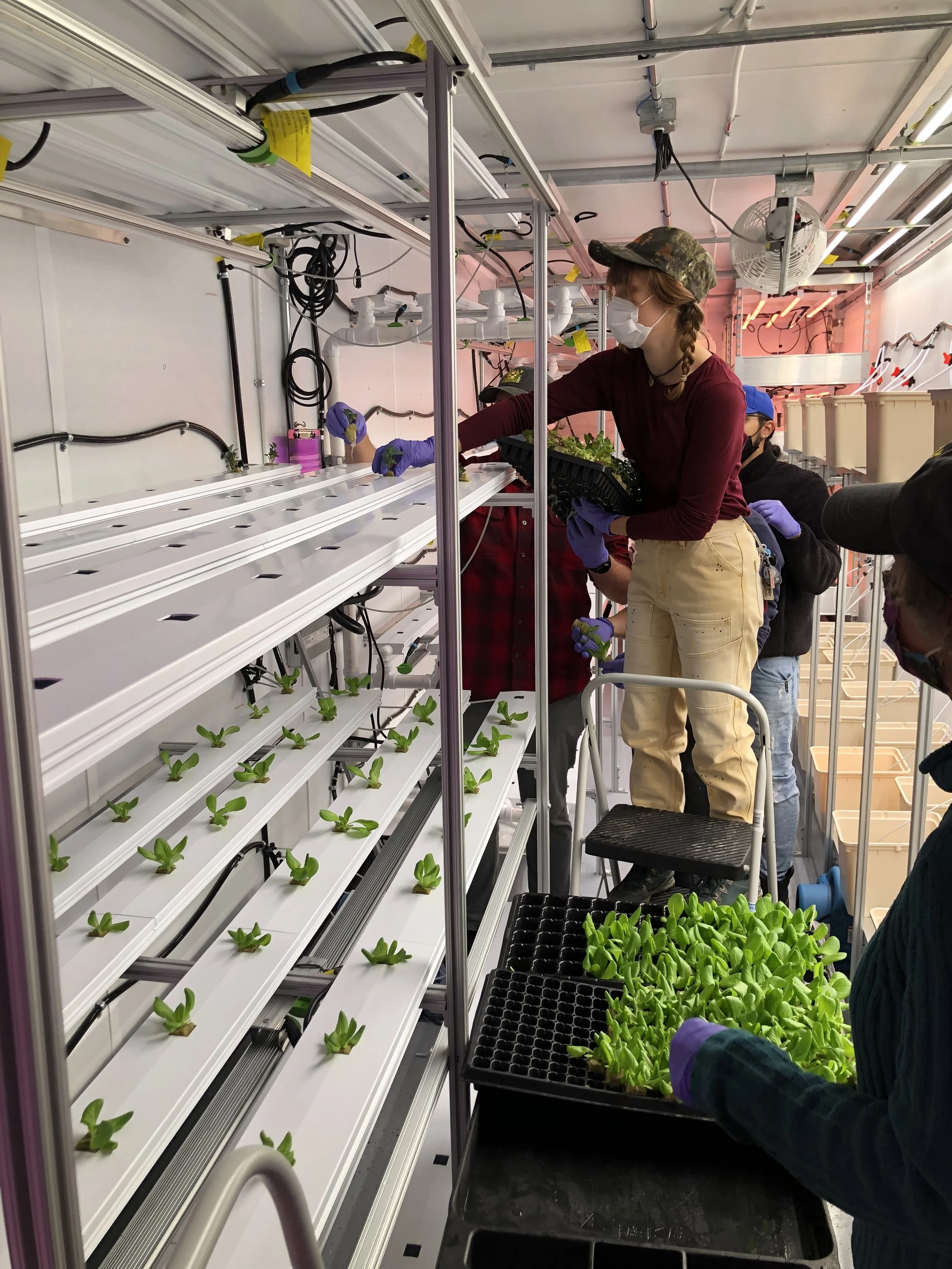 Green Food Solutions