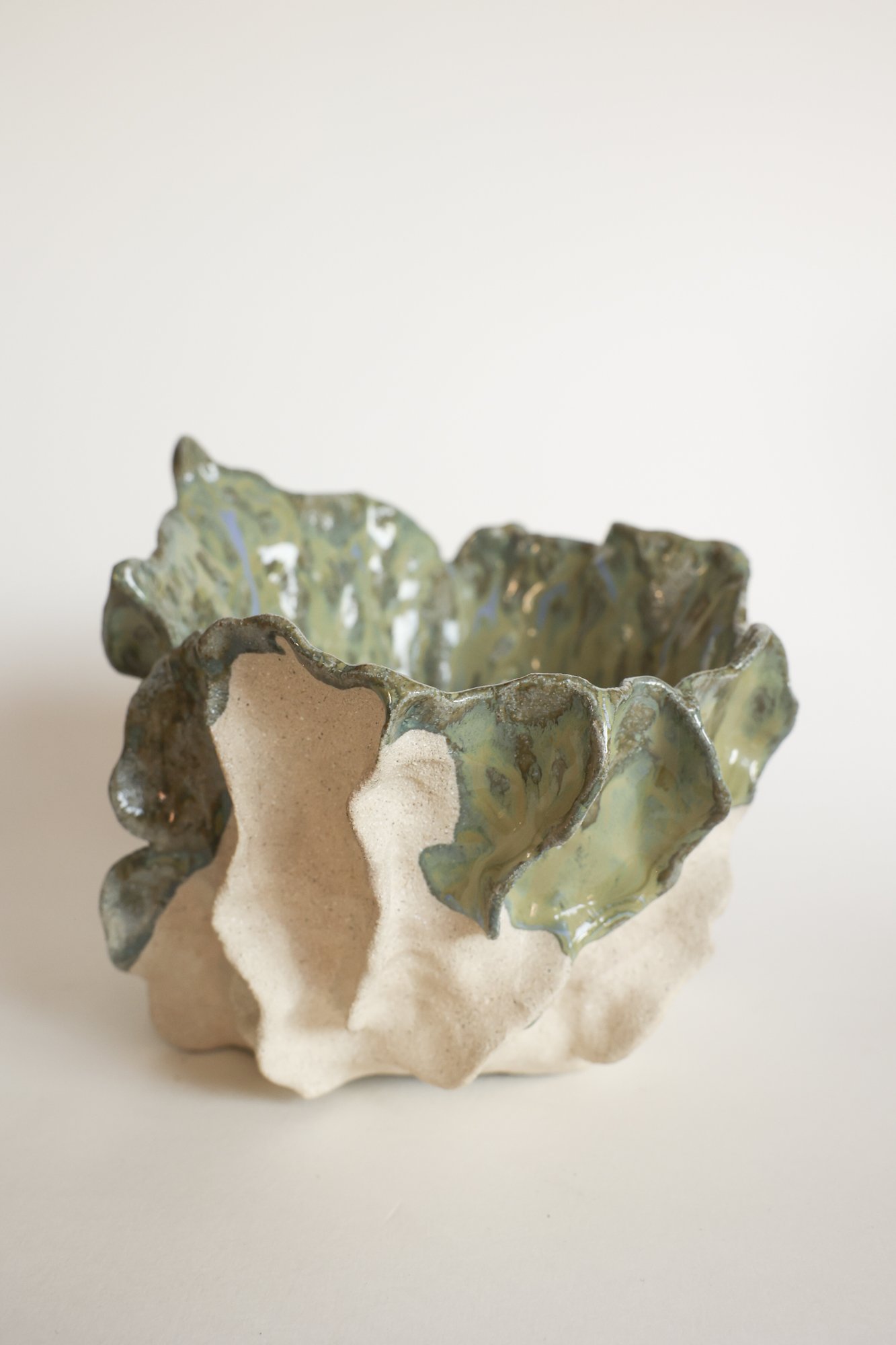Organic ceramic dish