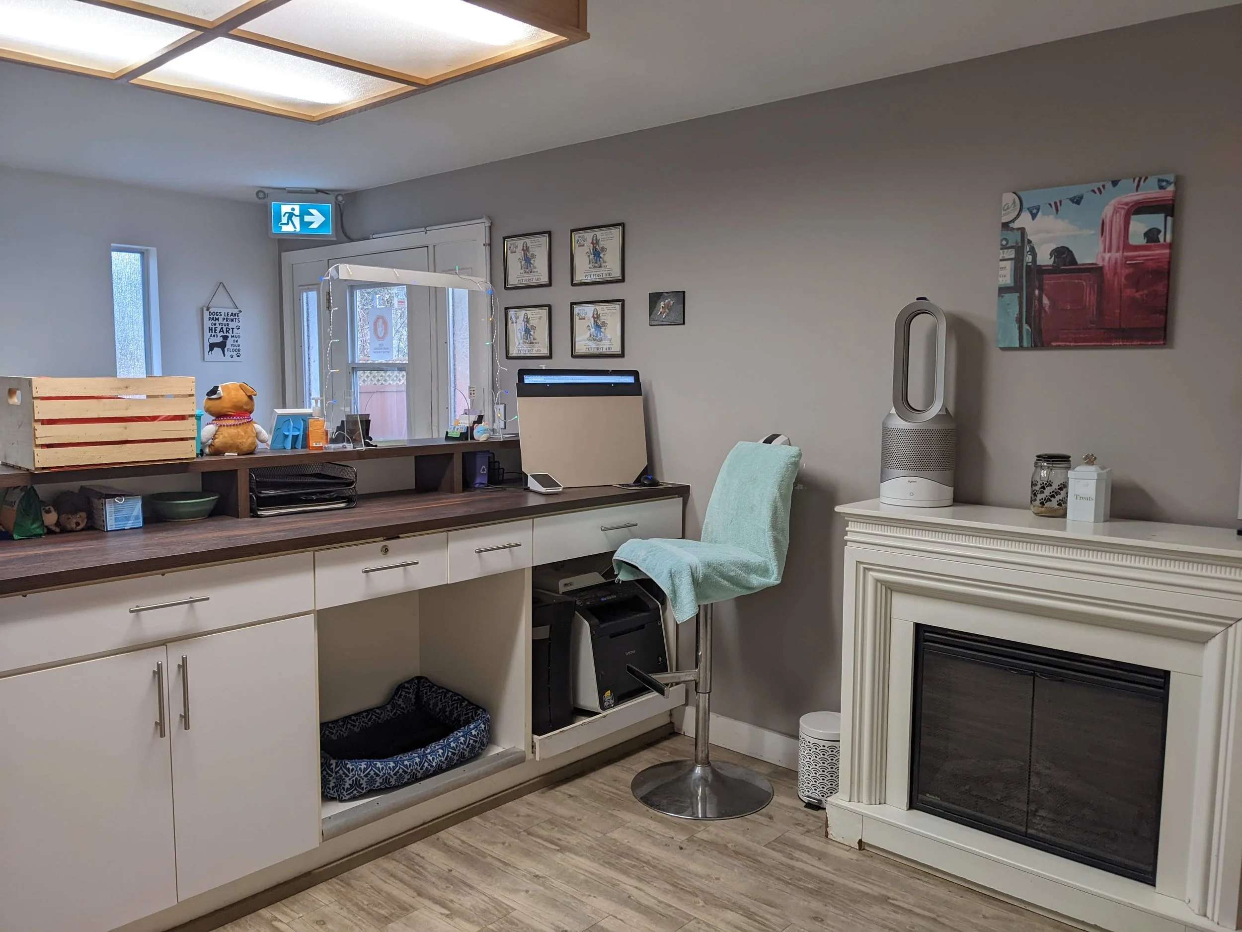 Animal Magic Pet Resort