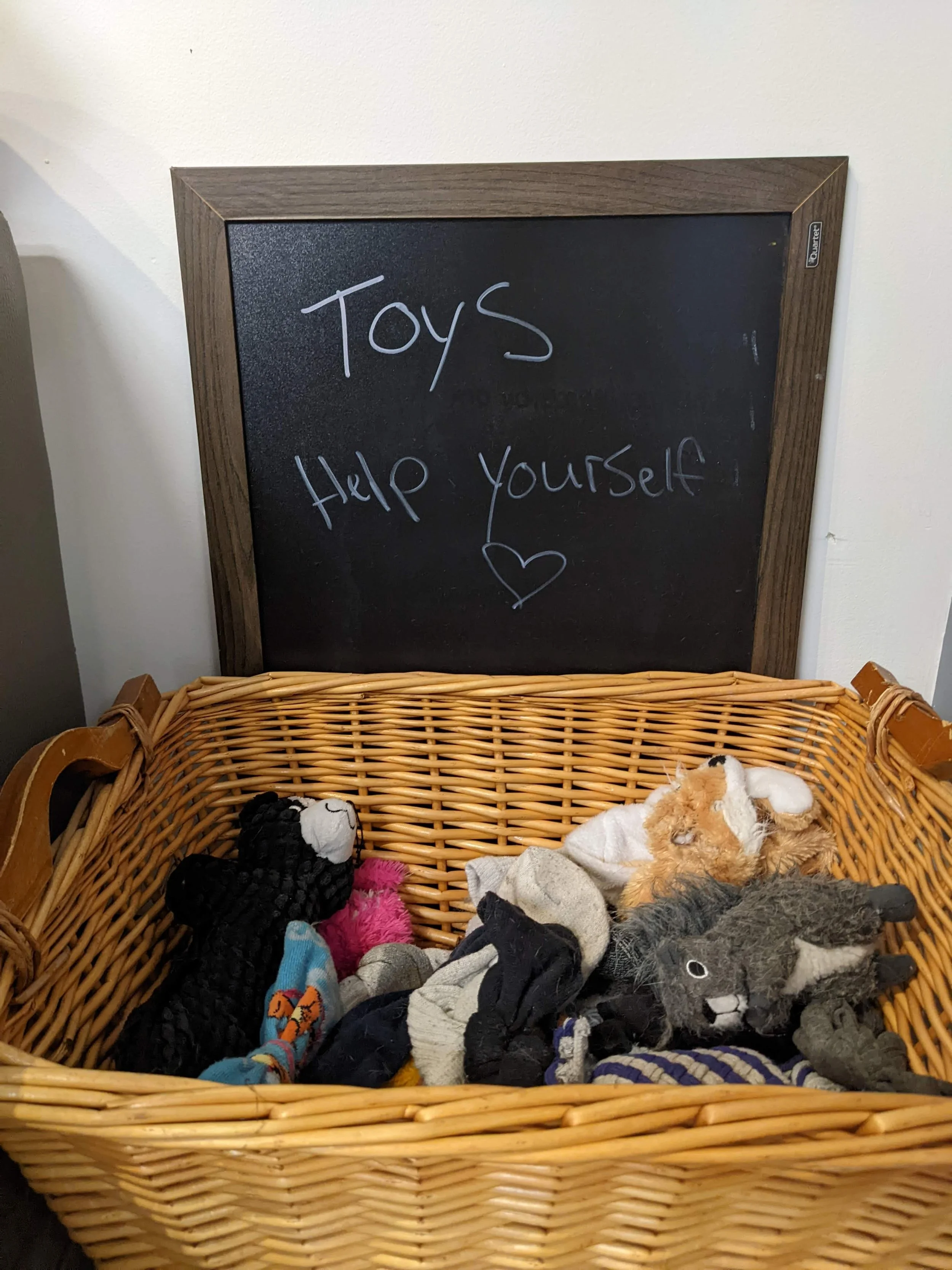 Animal Magic Pet Resort