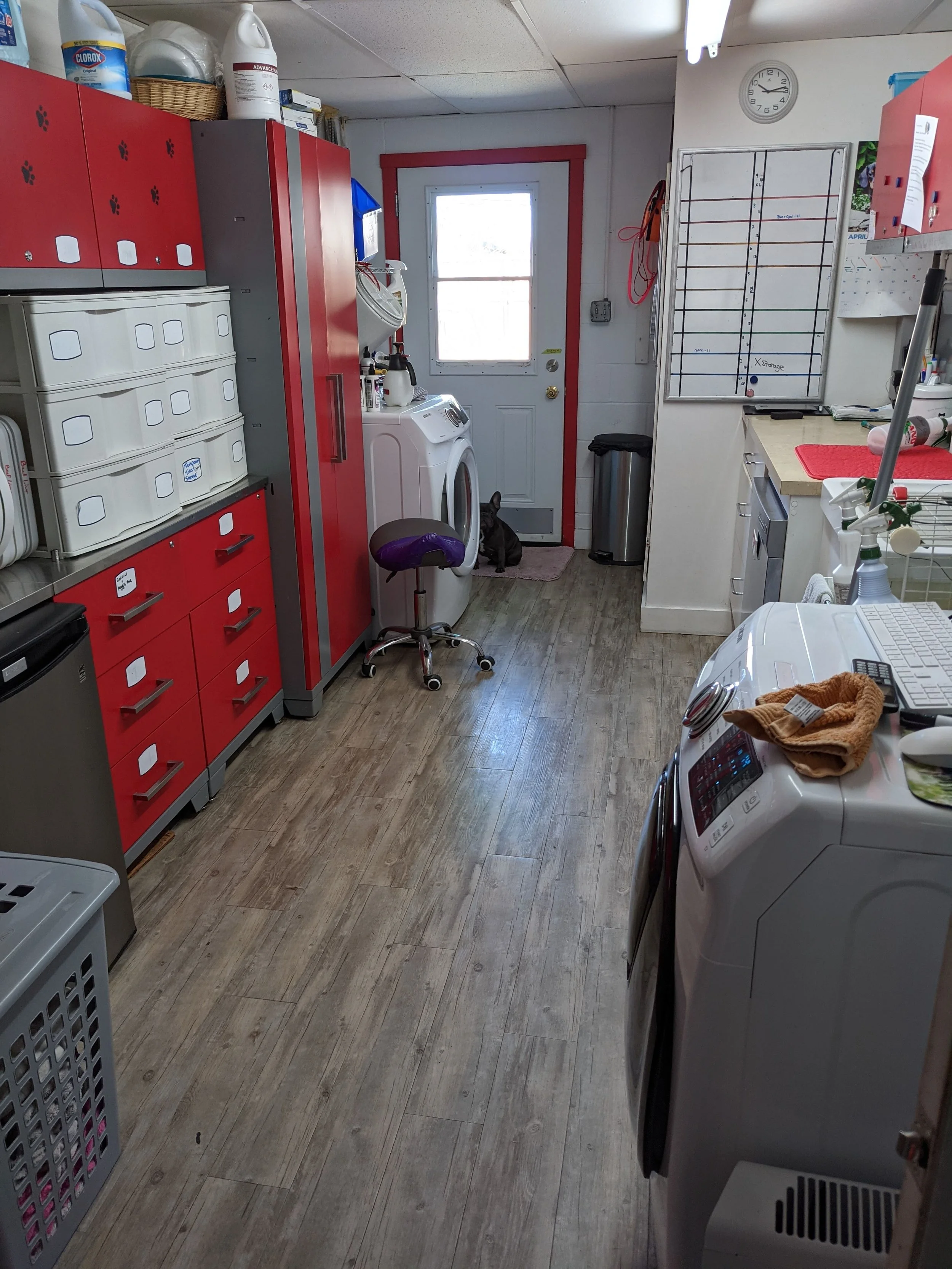 Animal Magic Pet Resort