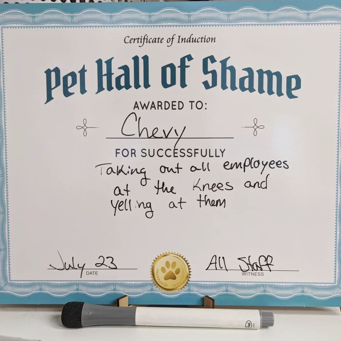 We have a new board of shame! This week Chevy got zoomies during play group and went full sprint into the back of multiple employees knees causing them to lose balance. He proceeded to then bark at them for attention as they weren't listening fast en