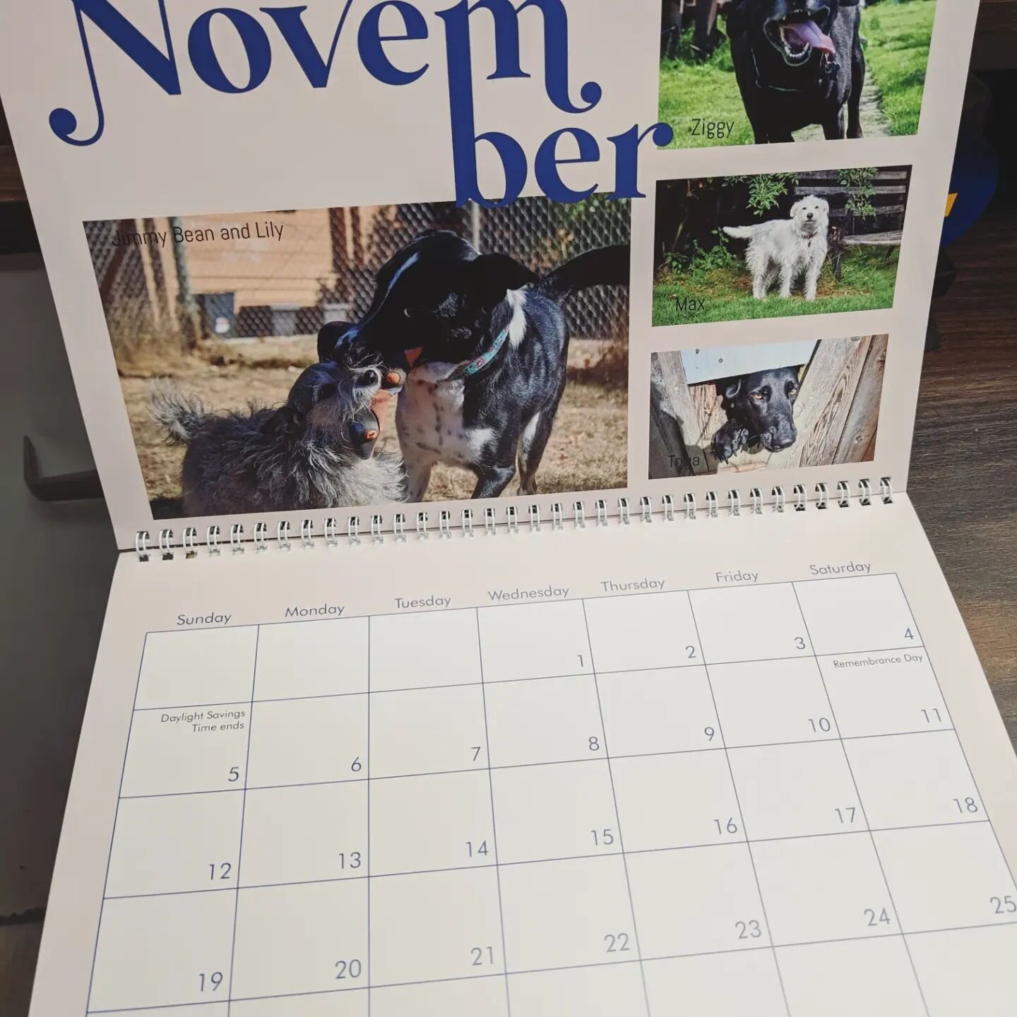 We have calenders! They are priced at $25 total ($23.81 before tax) and feature many of our clients' pups! Available in store and at a limited quantity! 

#parksville #animalmagic #petresort #doggydaycare #boarding #kennel #dog #dogs #dogsoninstagram