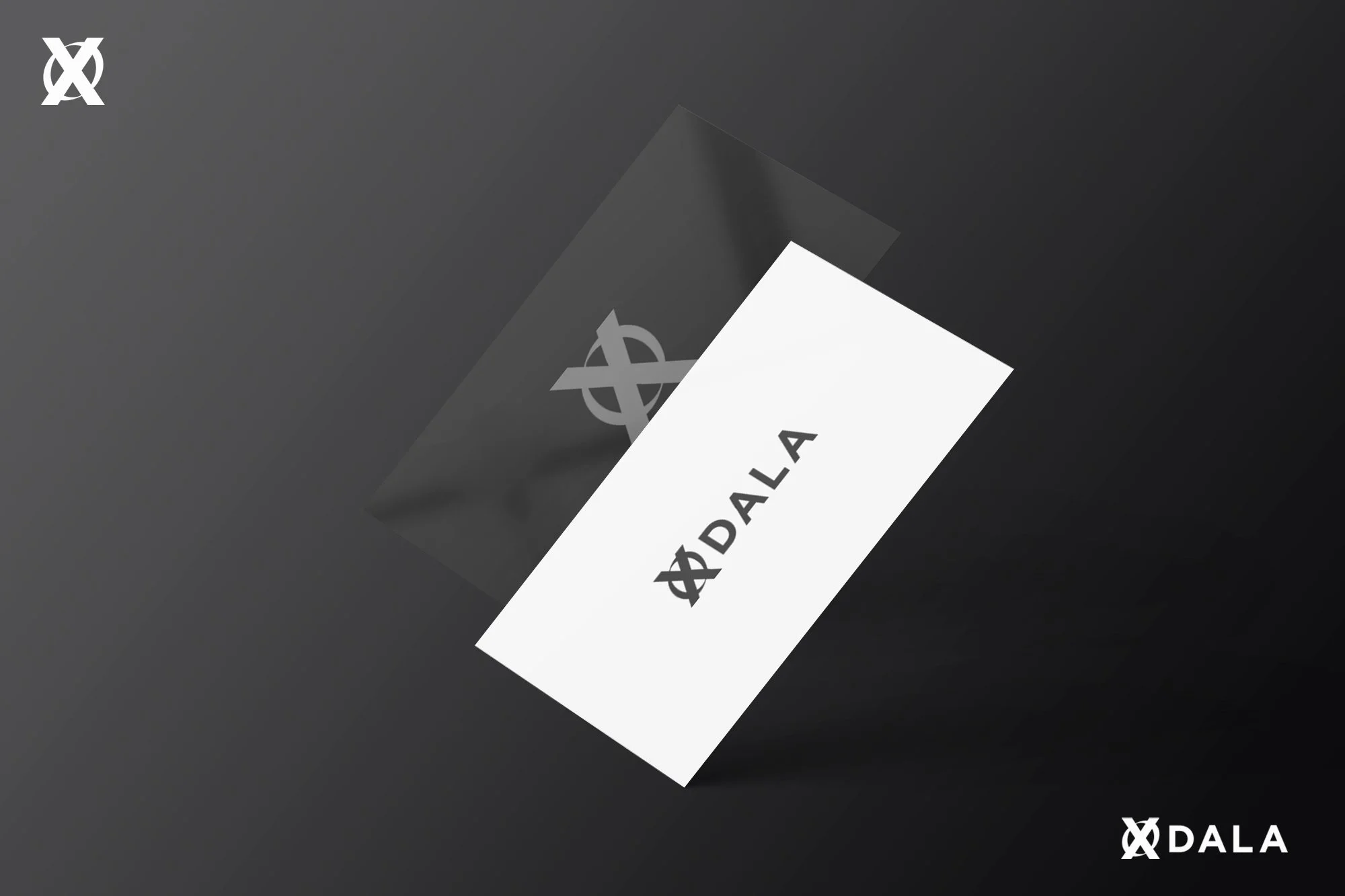 XDALA-1A.jpg