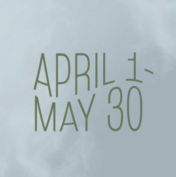 Screen Shot 2022-04-19 at 9.07.38 AM.png