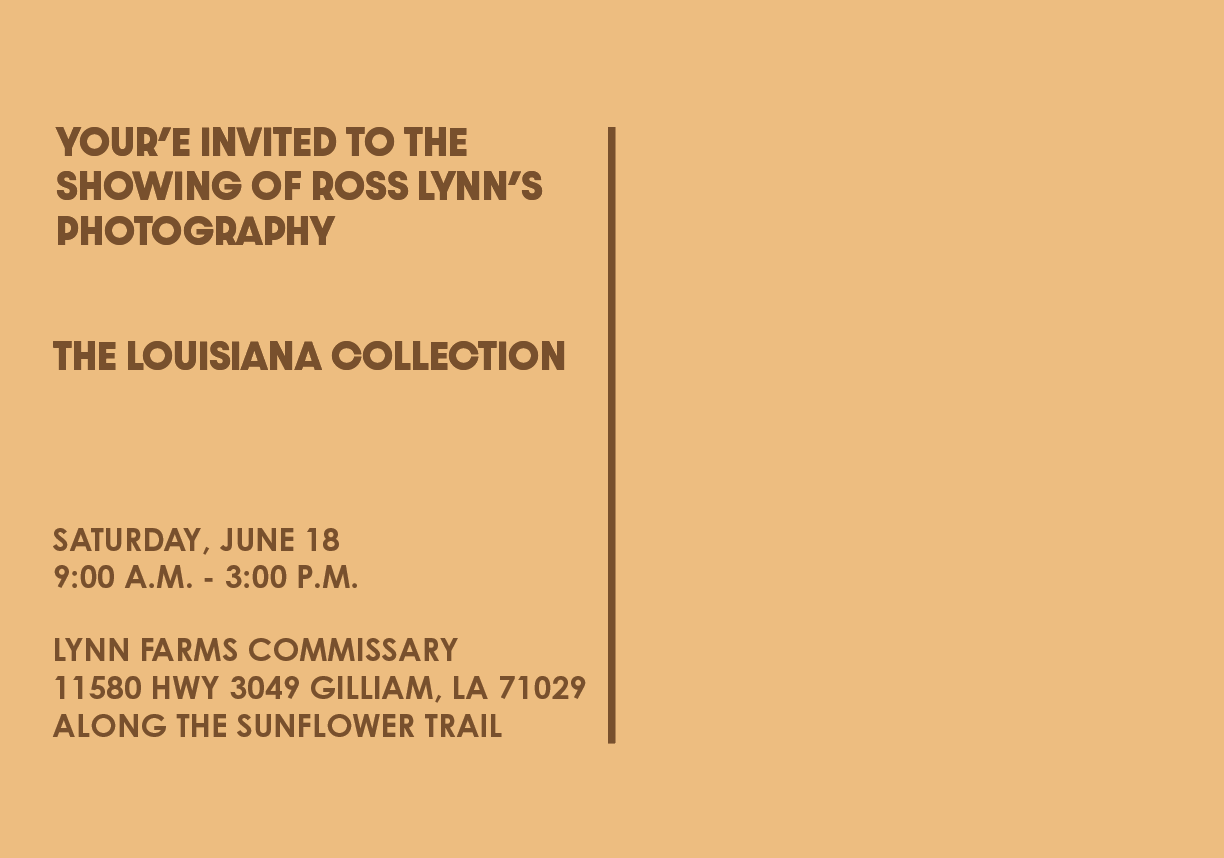 Screen Shot 2022-06-12 at 6.17.51 PM.png