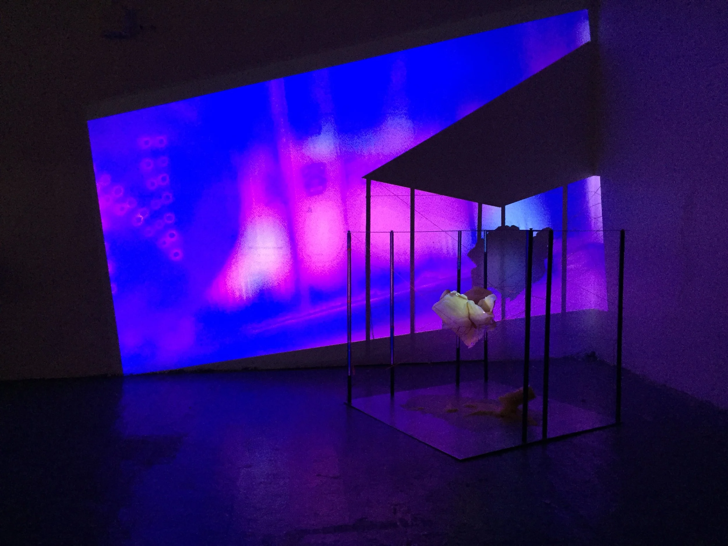 I Will Meet You Soon