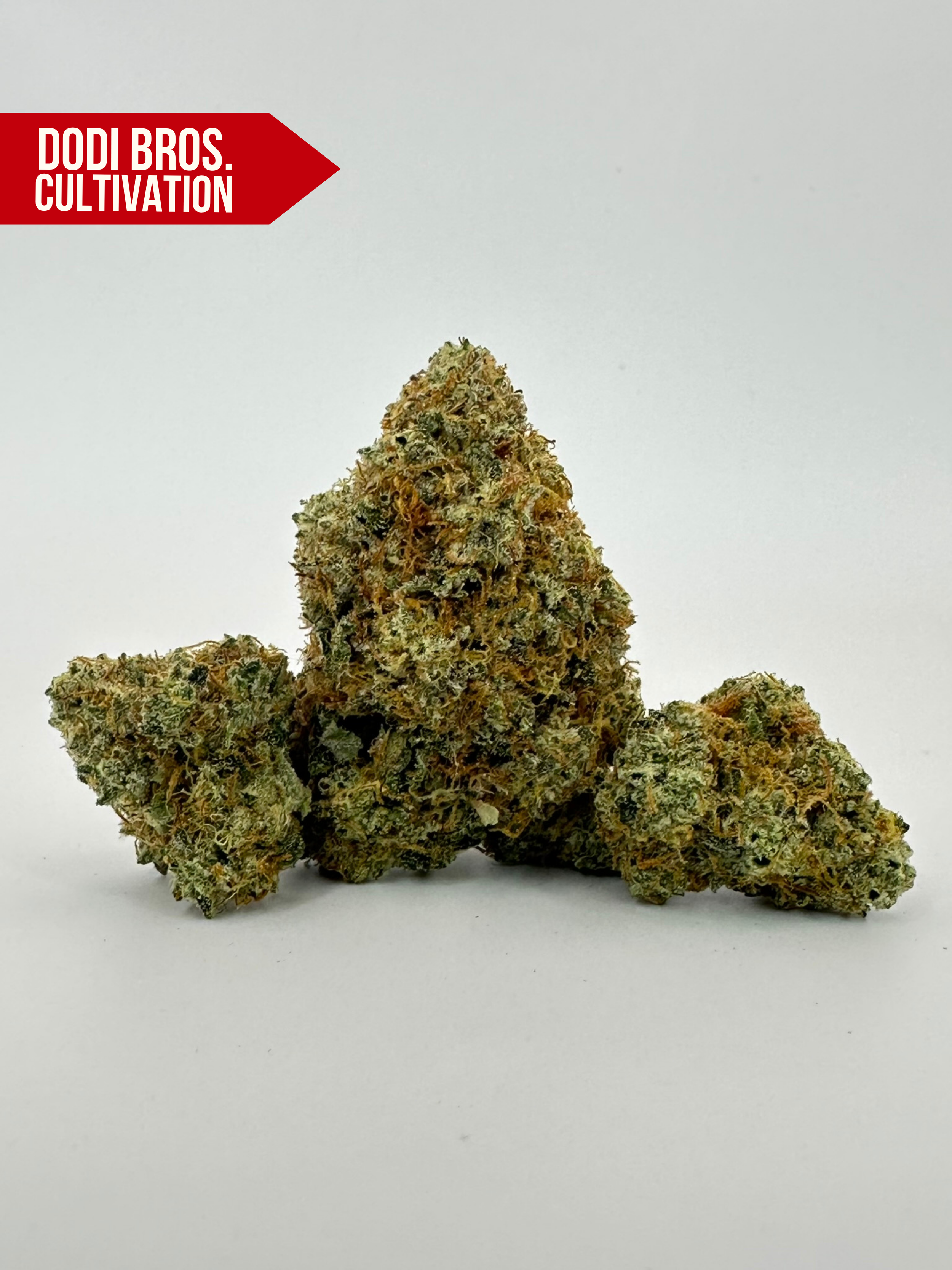 GREASE OG - INDICA