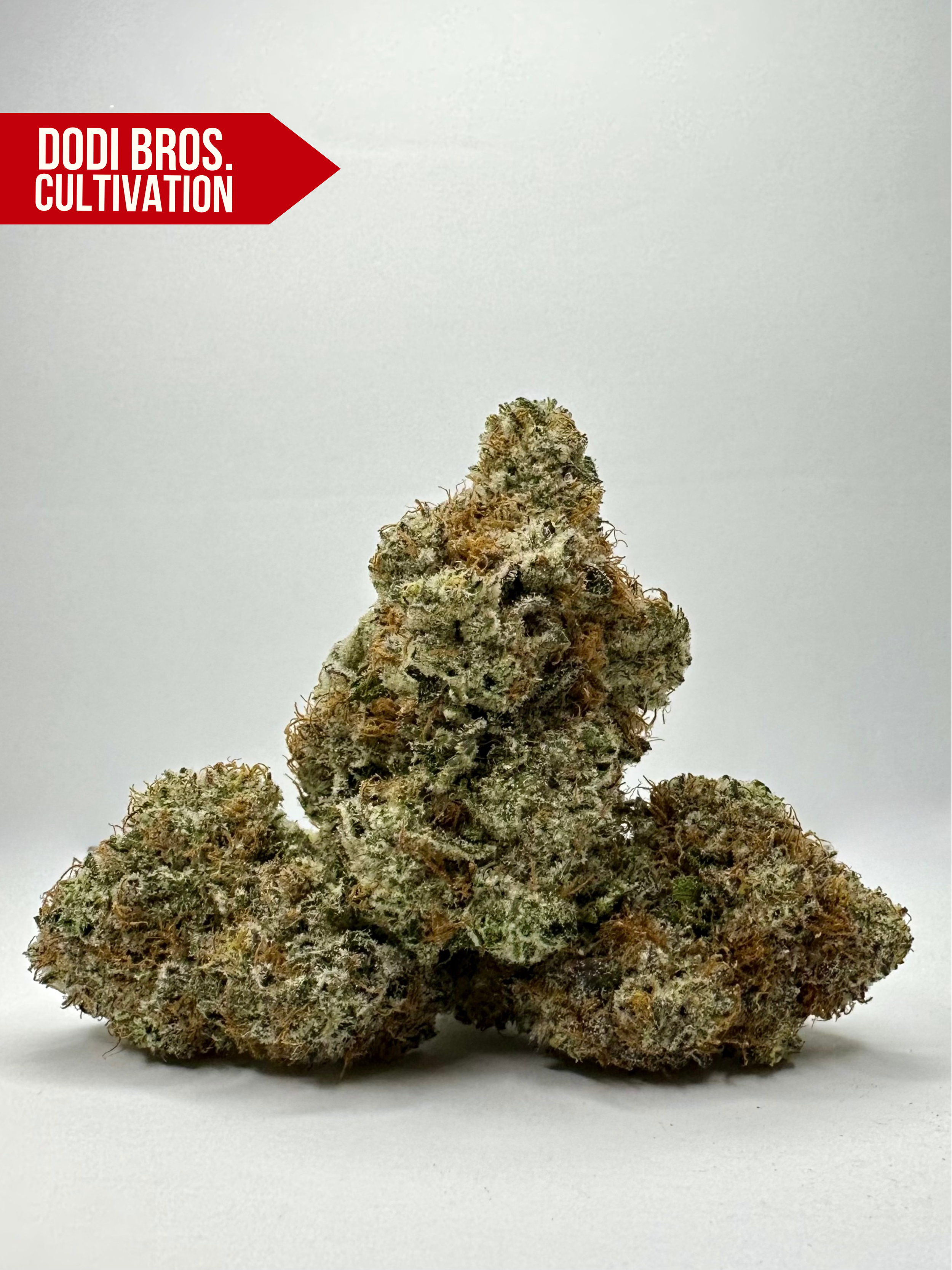 PARADISE SNACKS - HYBRID - INDICA DOMINANT