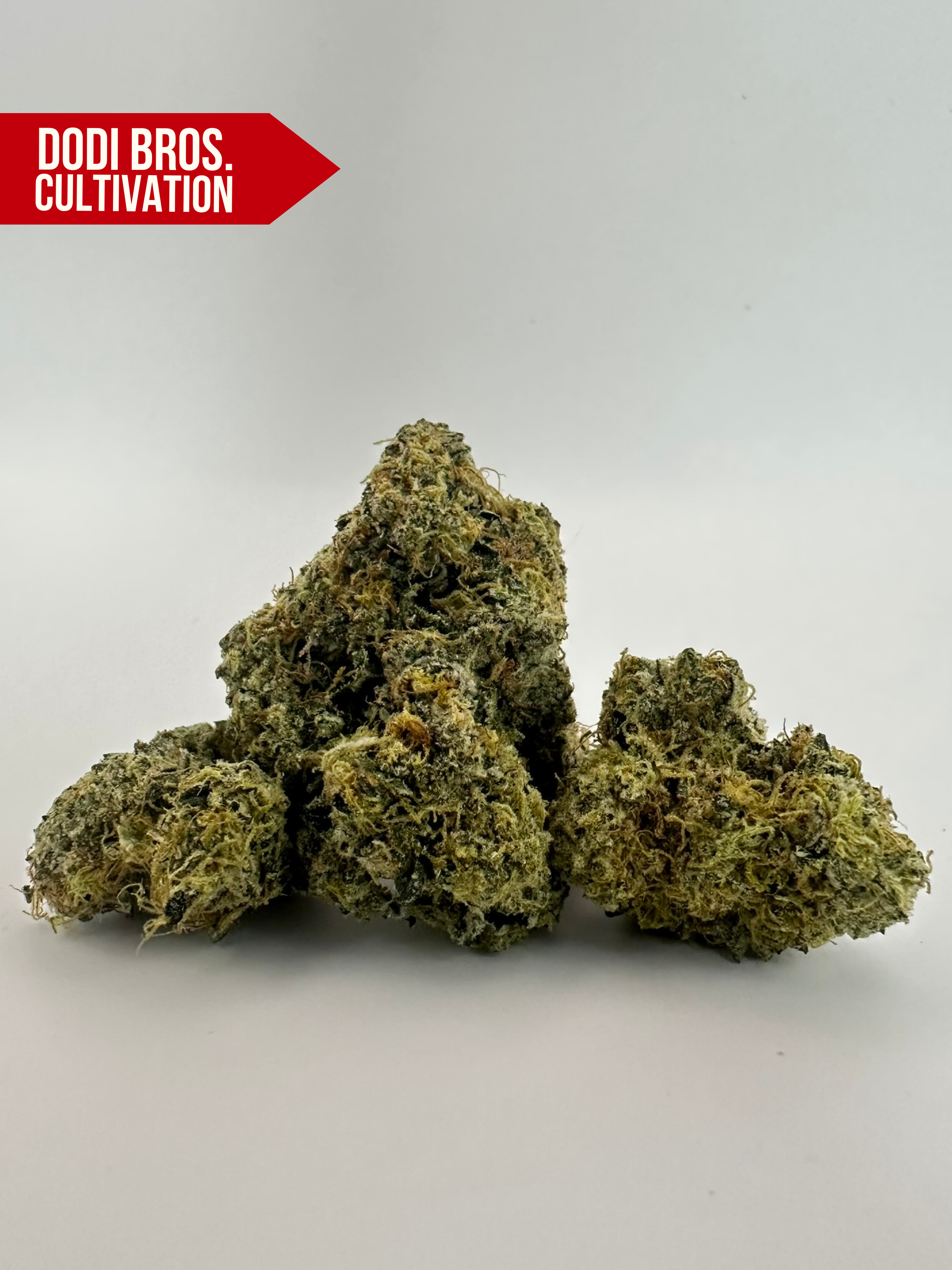 MAC CAKE - INDICA