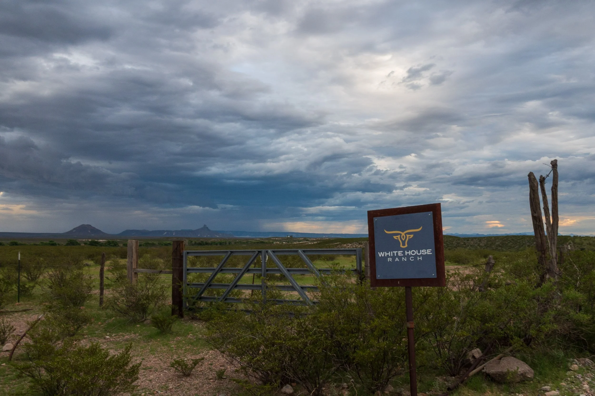 Welcome to the ranch