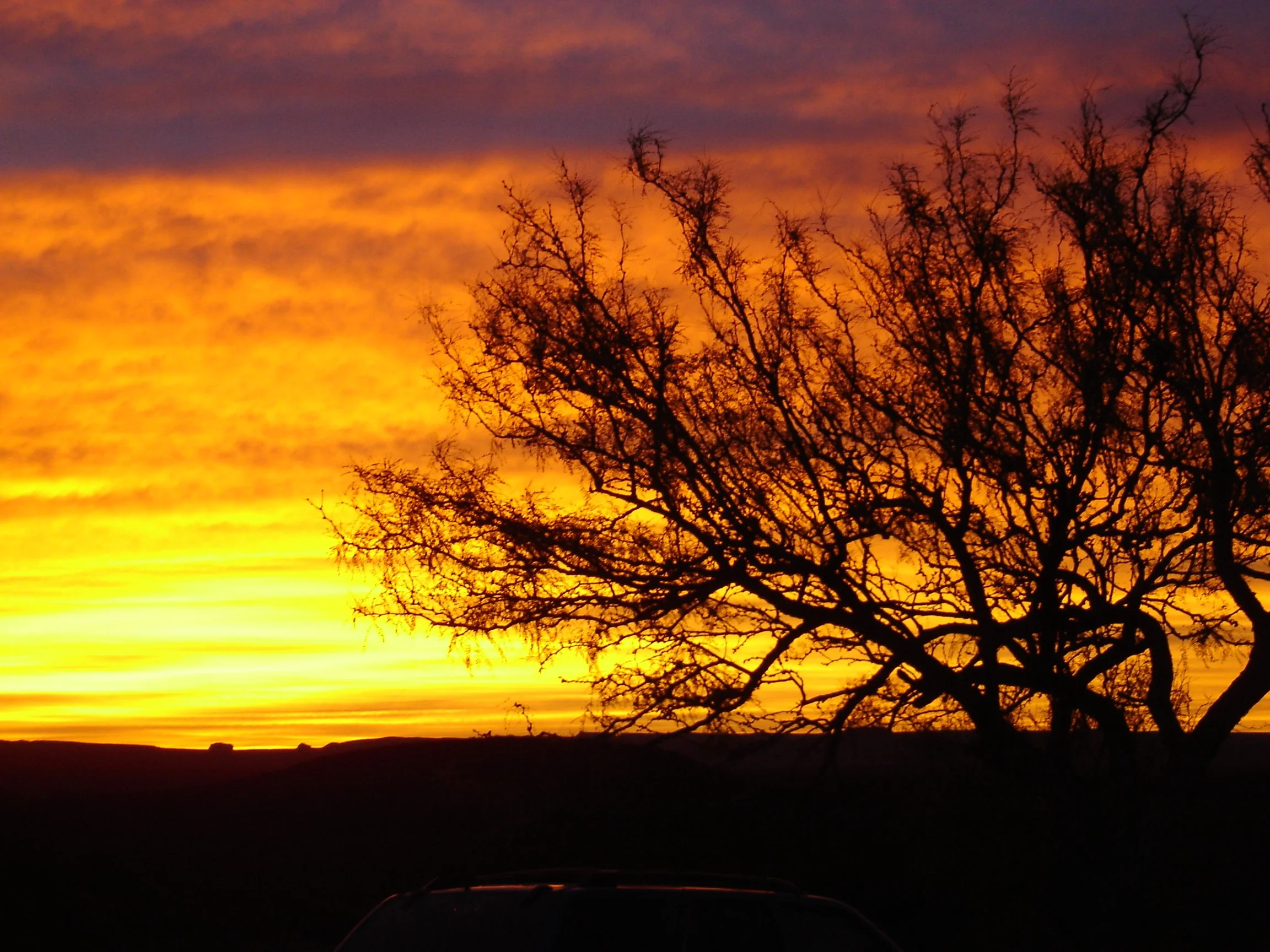 Sunrise from the front yard.