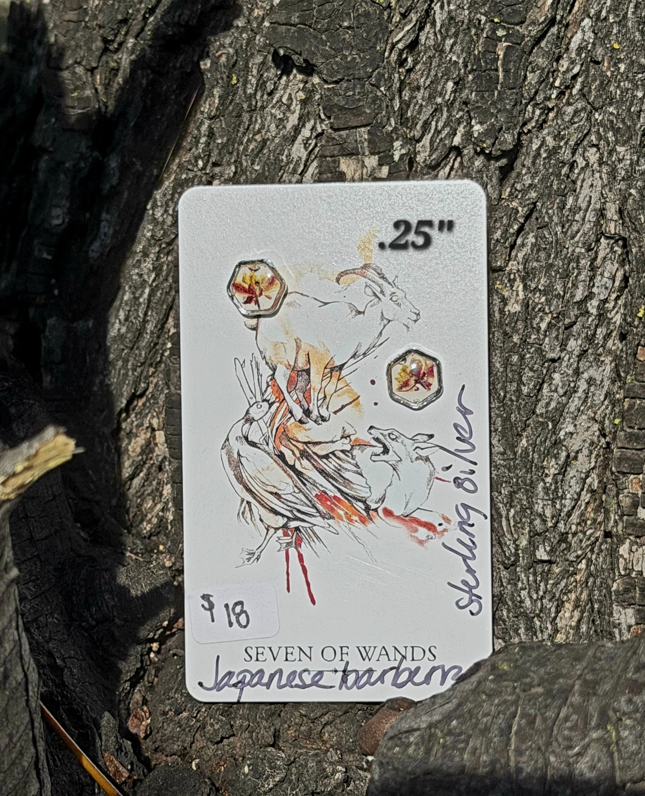 Japanese Barberry Hexagon Studs