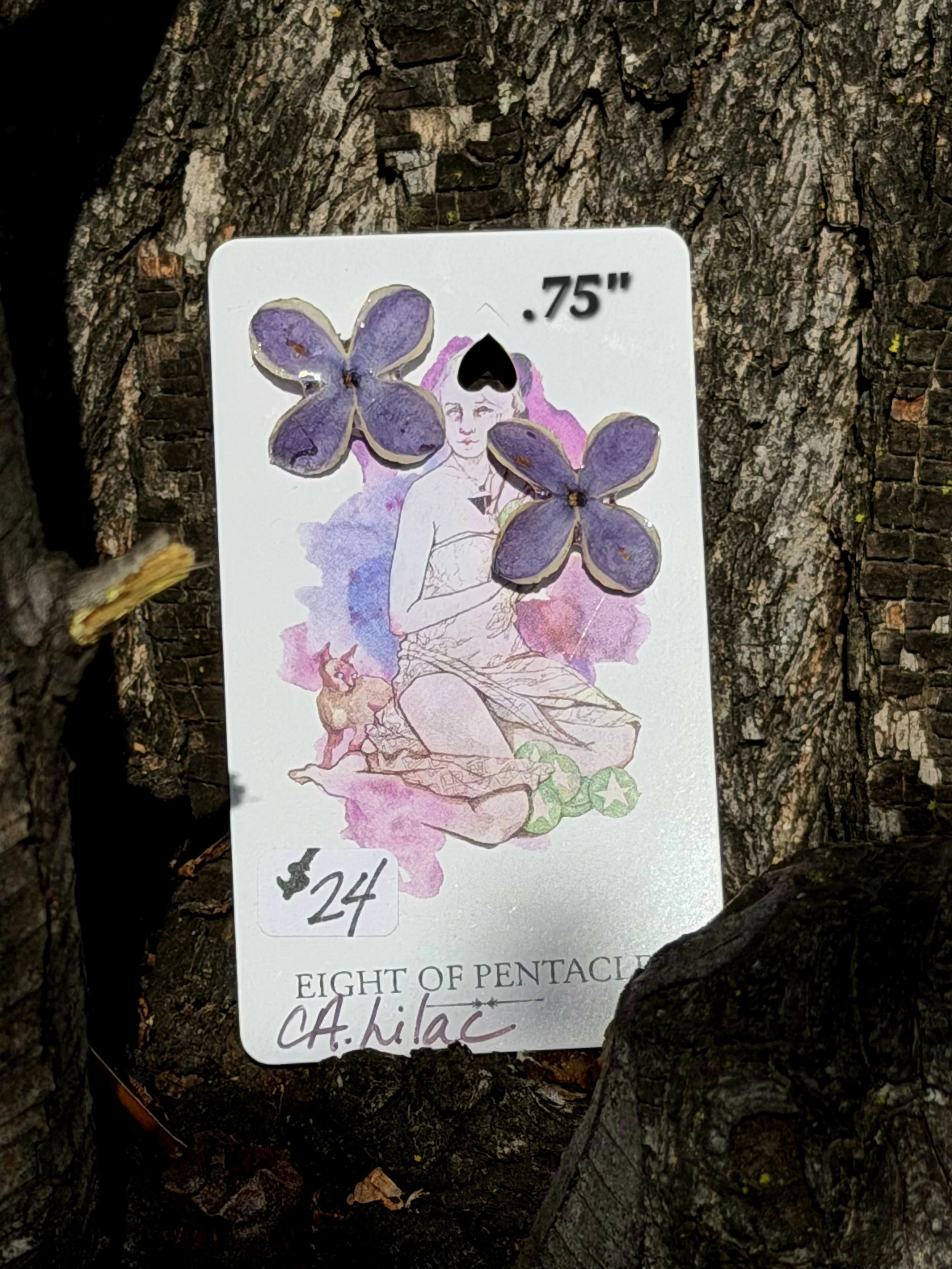 California Lilac Studs