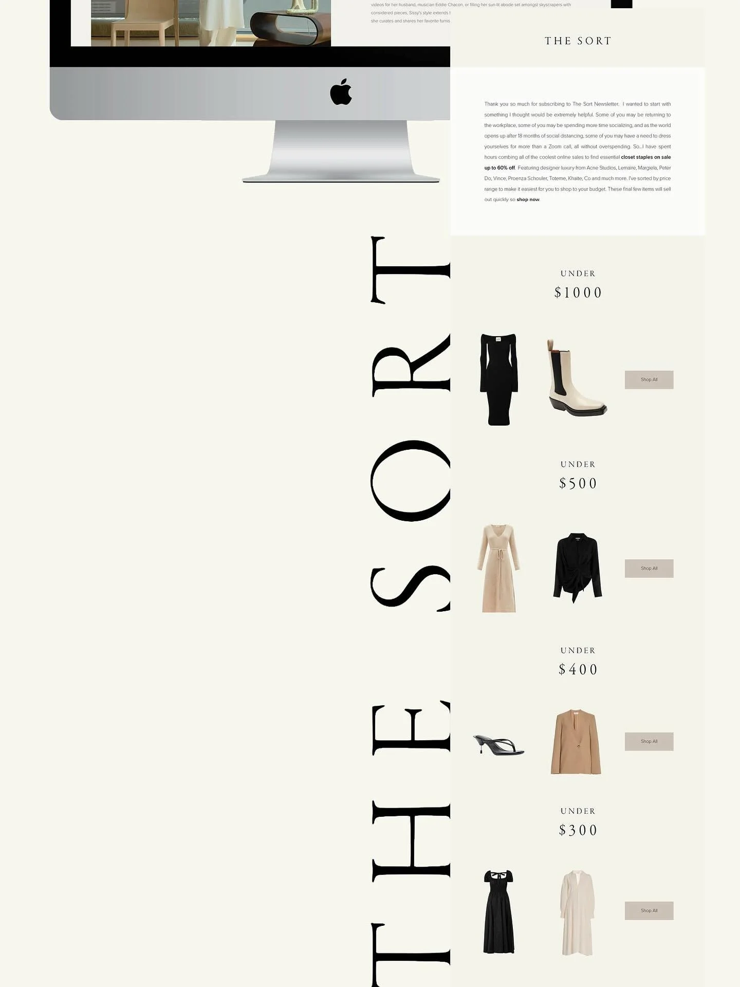 Brand Identity &amp; Newsletter Development 🤍