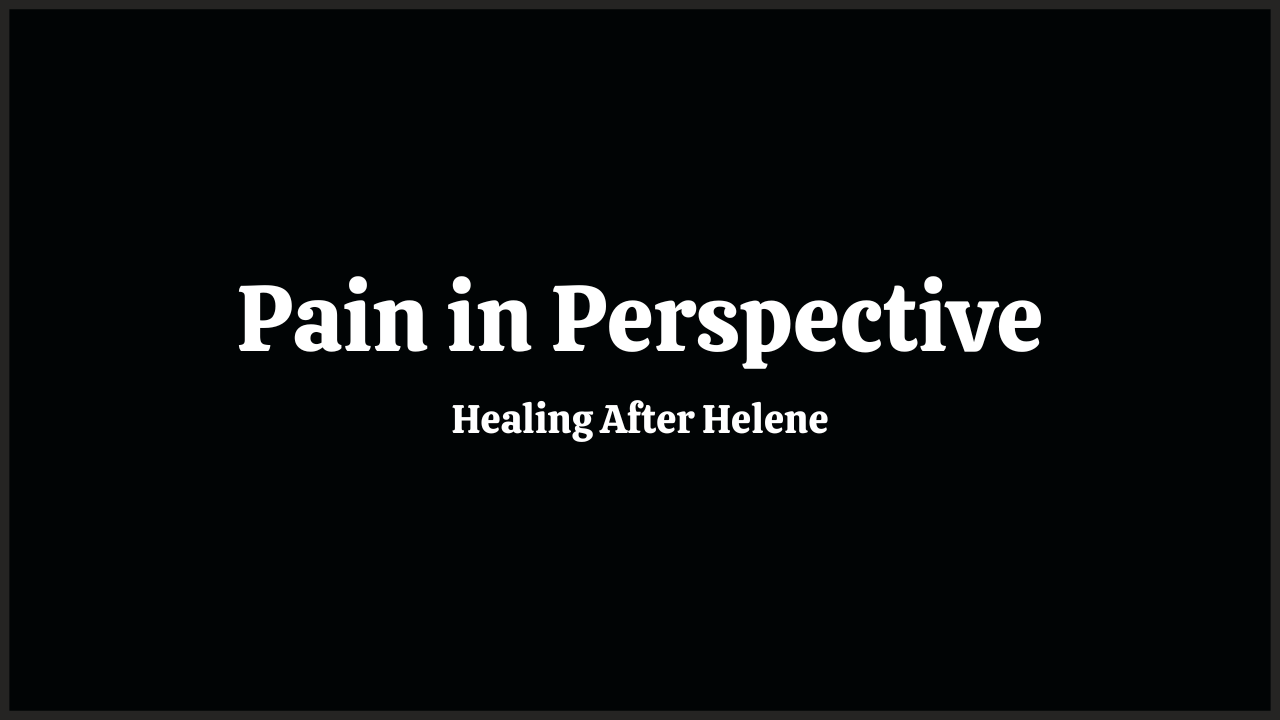 Pain in Perspective