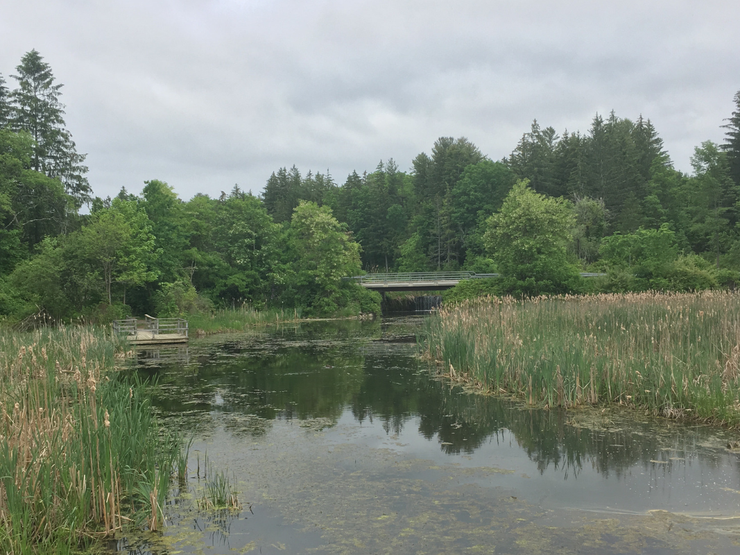 Garden I: Healing the Passions