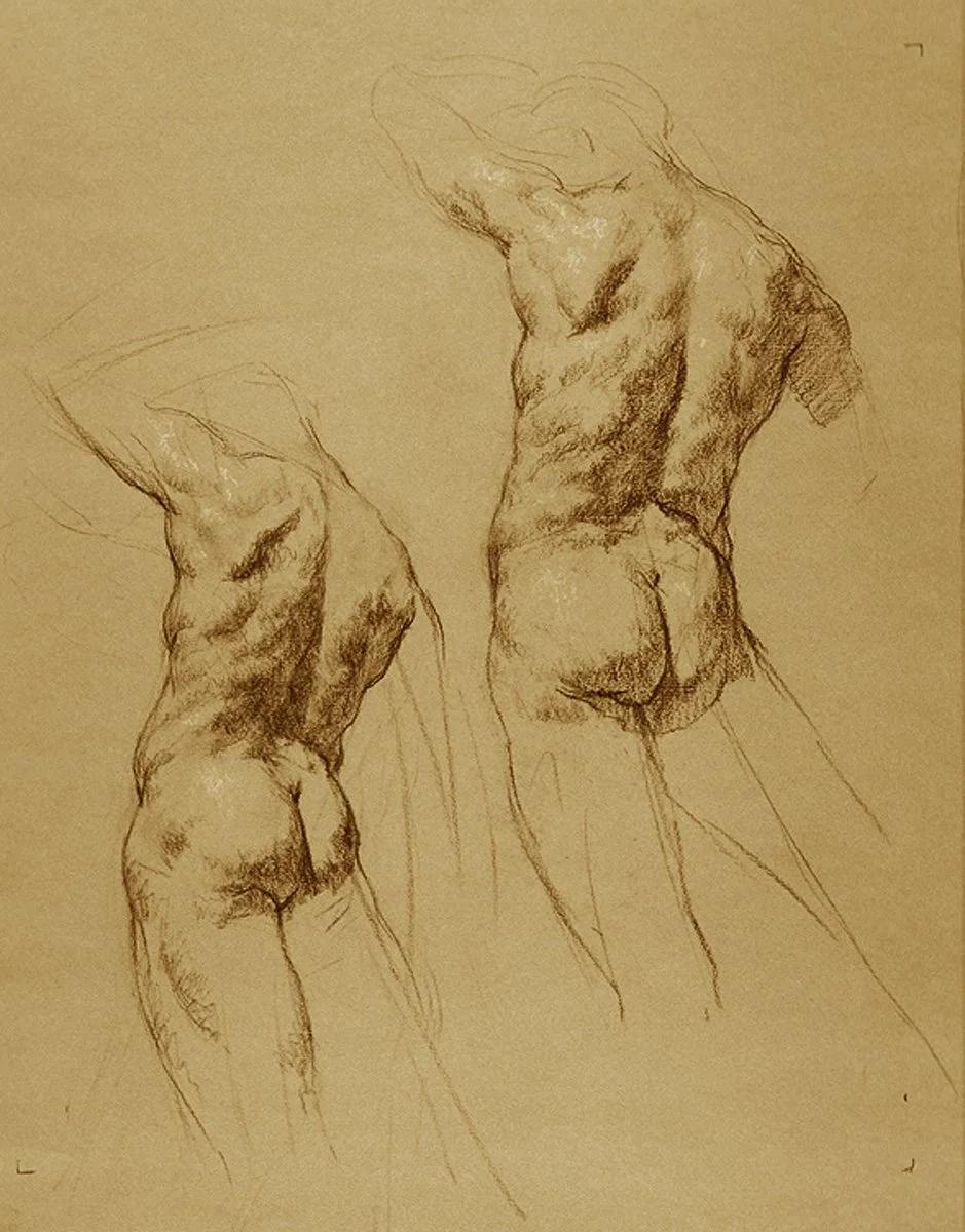 Torso Studies.jpg