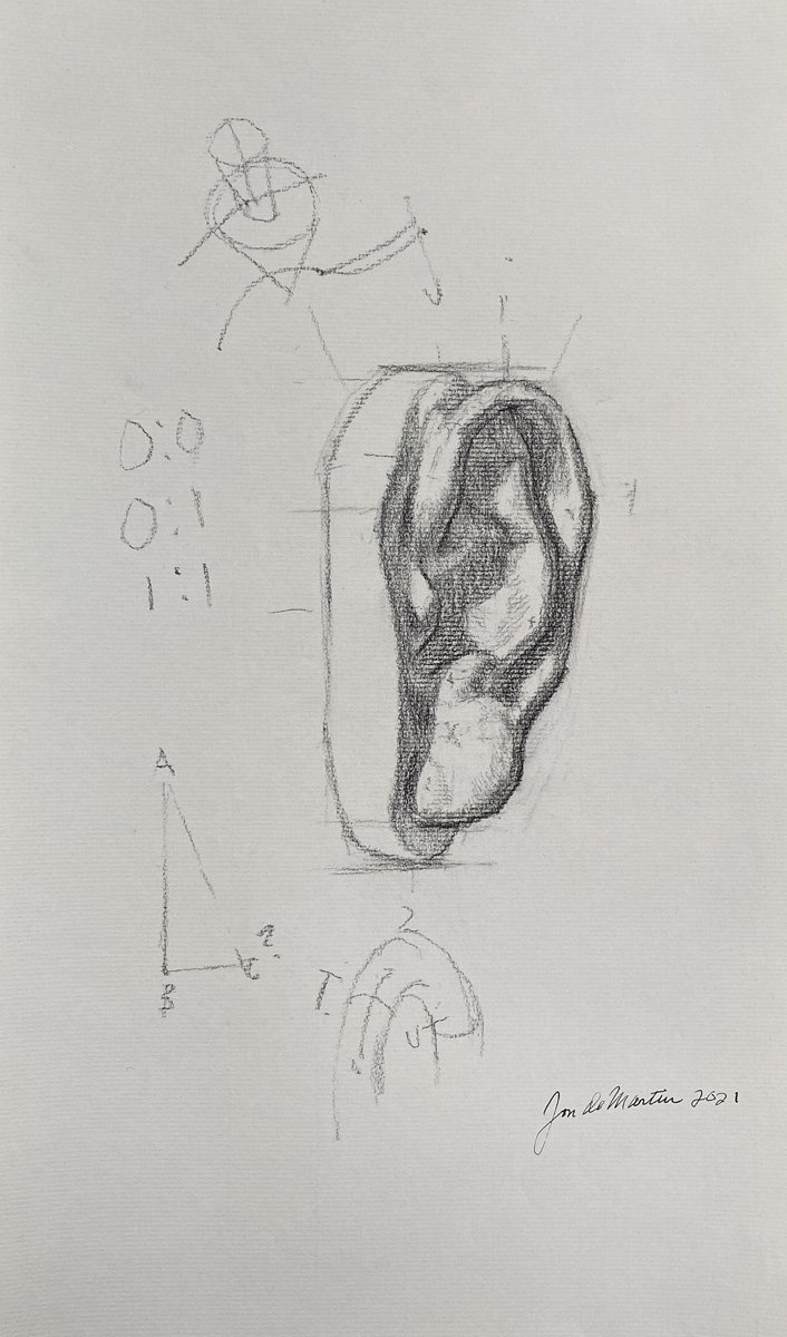 18" x 10" Ear