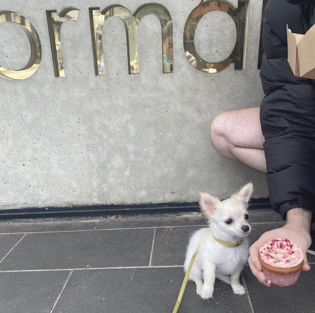 when the treats are as big as you 🐶#normansouthyarra