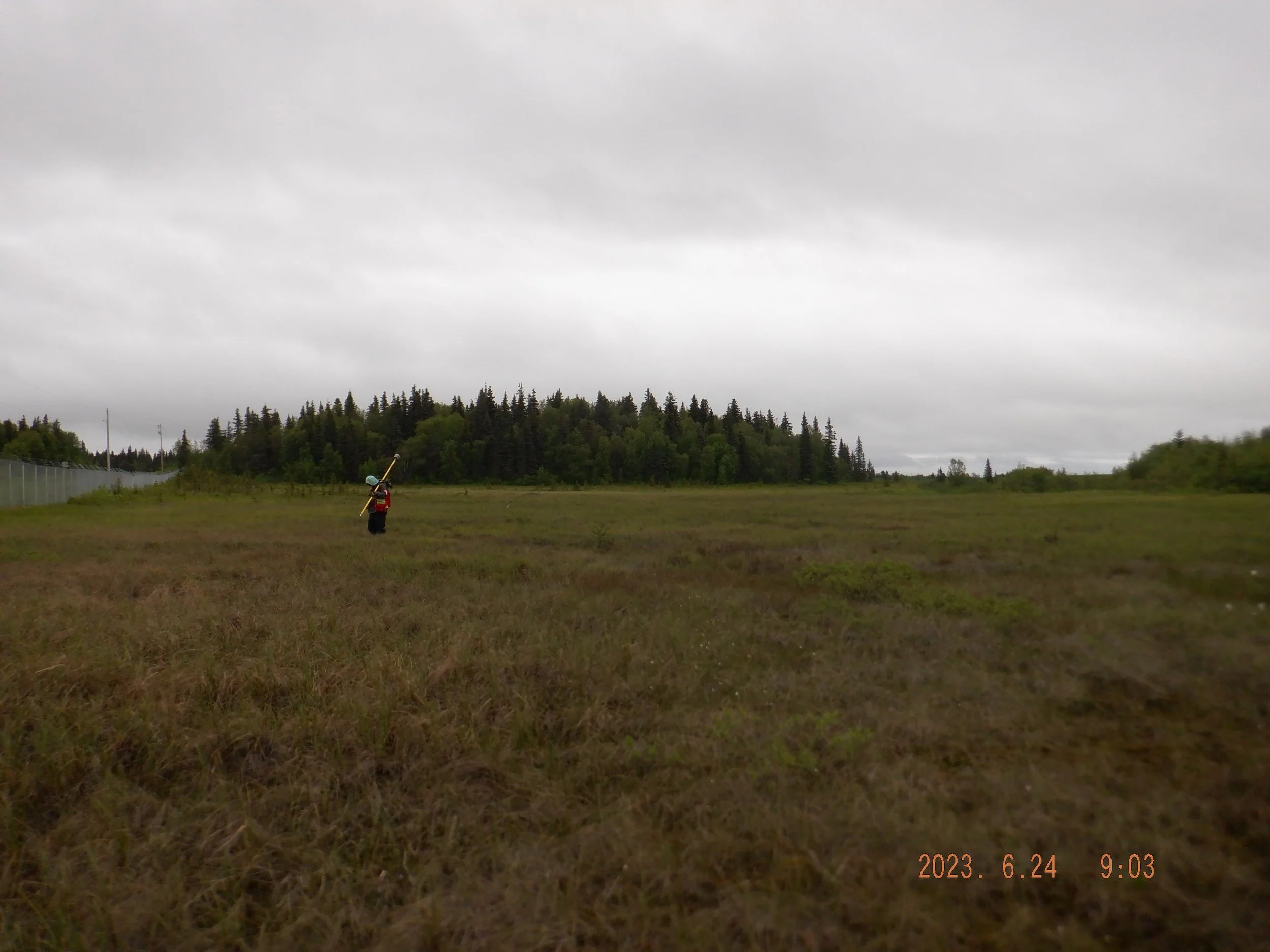 Dillingham Airport — Professional and Technical Services, Inc