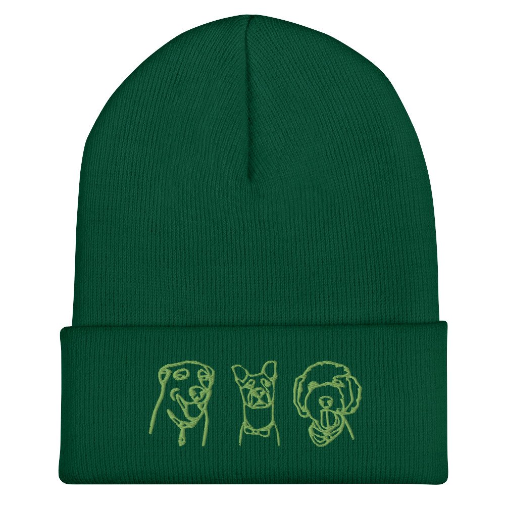 cuffed-beanie-spruce-front-641f5aa7c542d.jpg