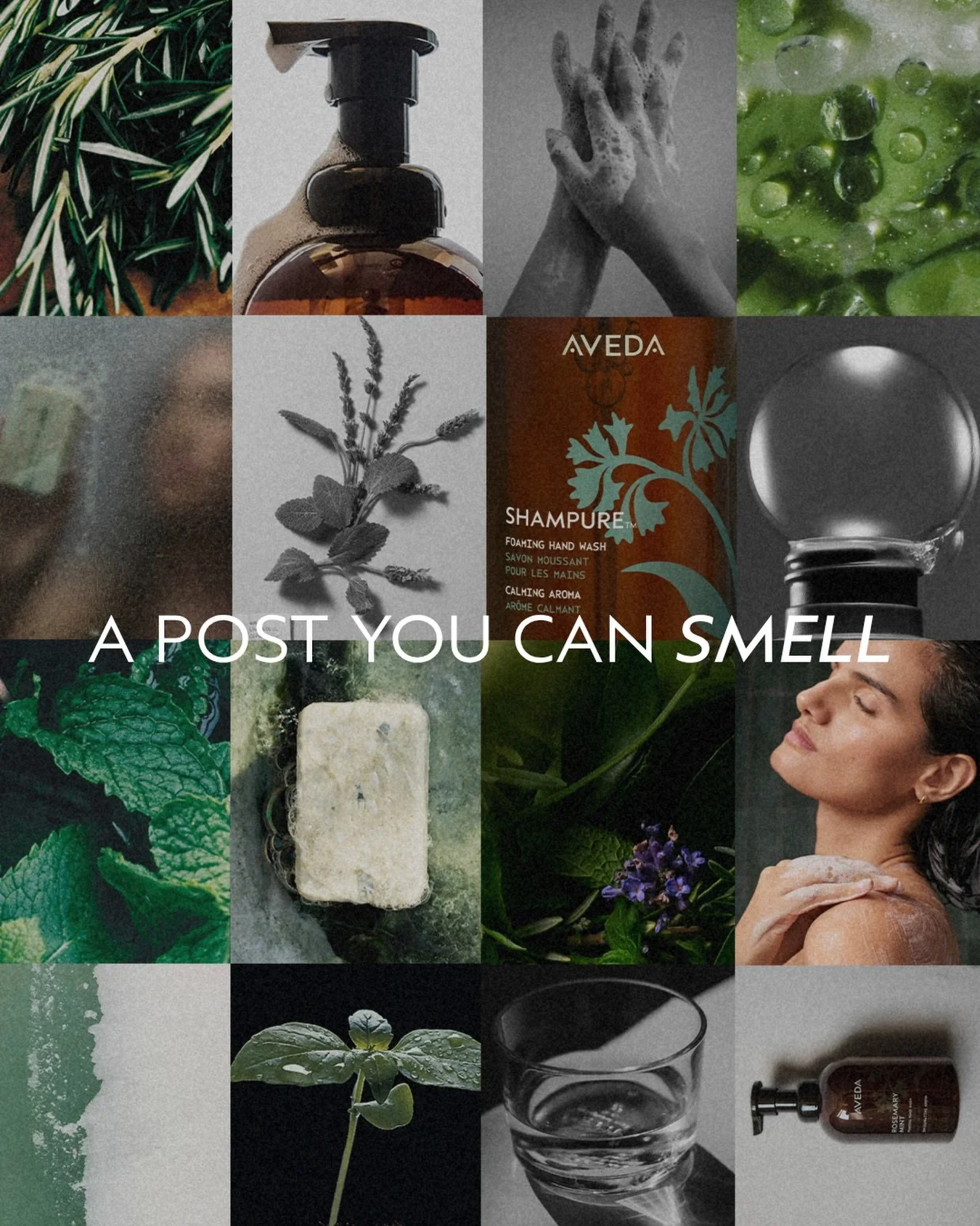 A post you can smell featuring two iconic aromas. 🫧

Our new Foaming Hand Wash takes &ldquo;you smell like Aveda&rdquo; to a whole new level. From the invigorating Rosemary Mint to the soft, comforting aroma of Shampure, these scents bring us back t