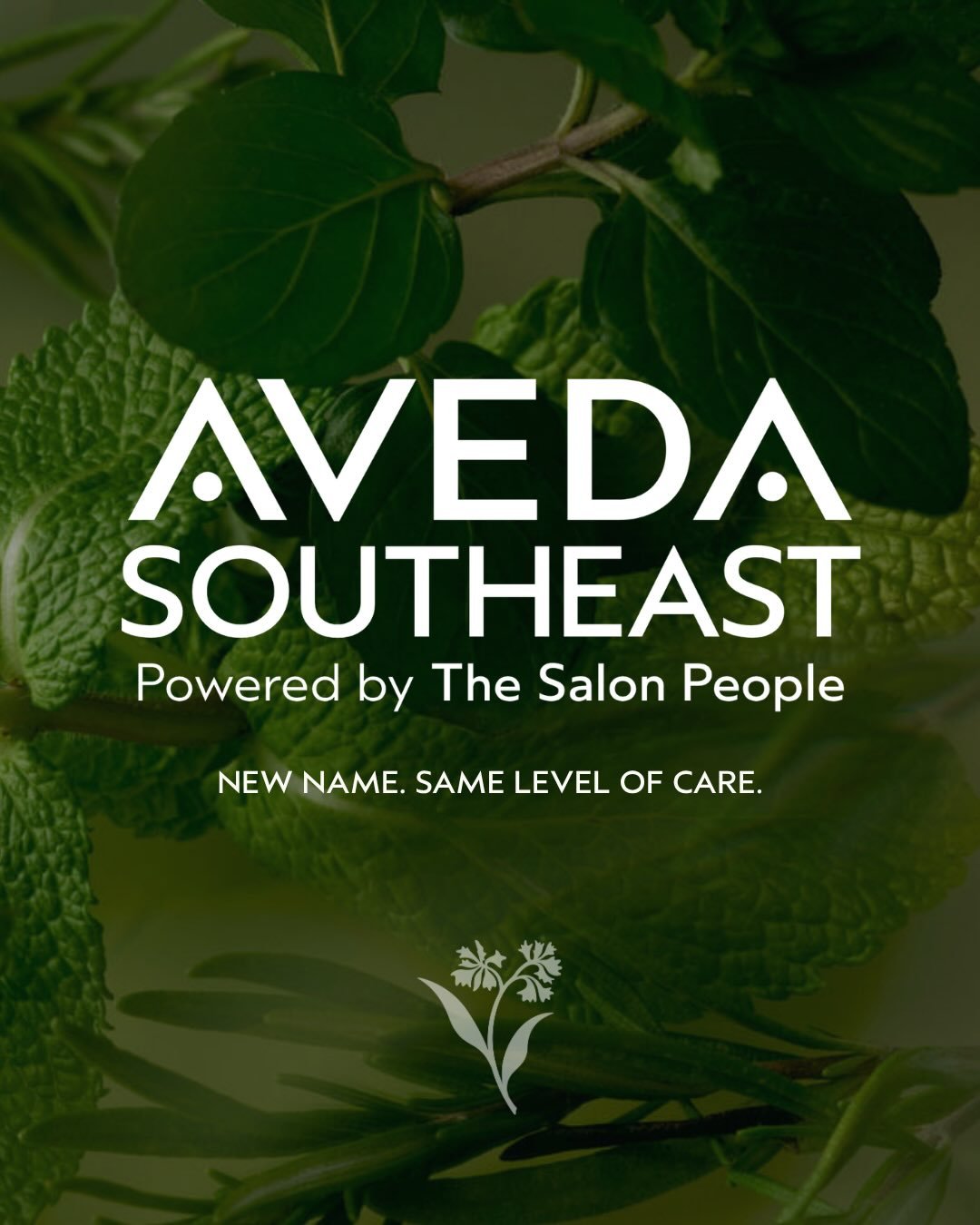 ✨New name. Same level of care.✨

We are excited to officially introduce Aveda Southeast Powered by The Salon People &mdash; continuing our mission of creating a chain reaction of care for salon owners and artists.

What started as The Salon People an